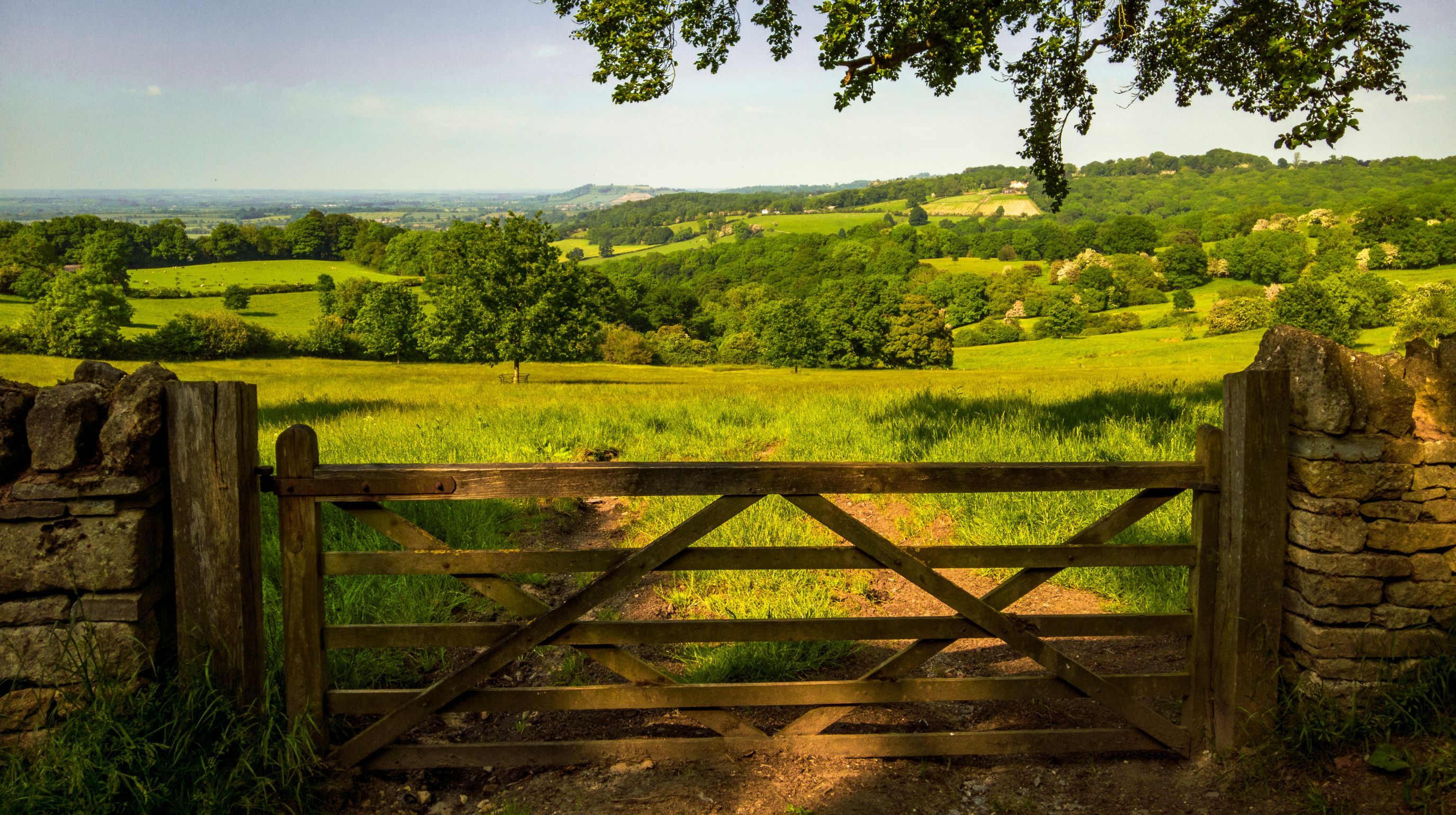 A wooden gate stands open, leading to a sunlit green field with rolling hills and trees in the background.