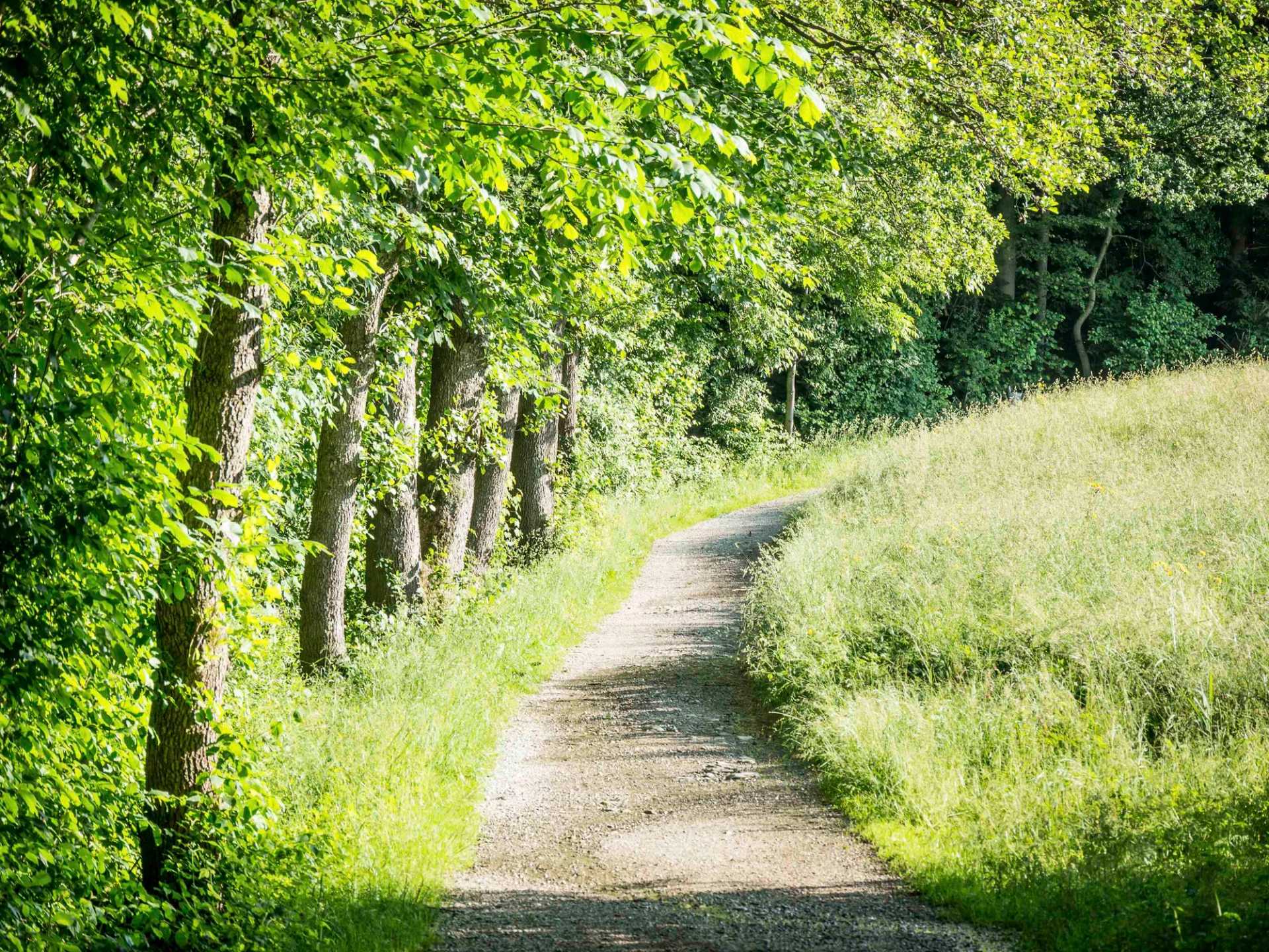 Spring Walk Path FB