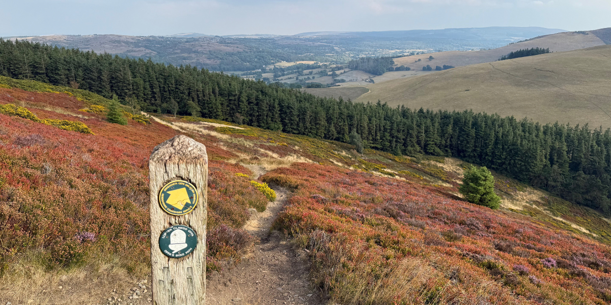 Offa’s Dyke Path waymarker among heather-covered hills on the northern section of the trail.