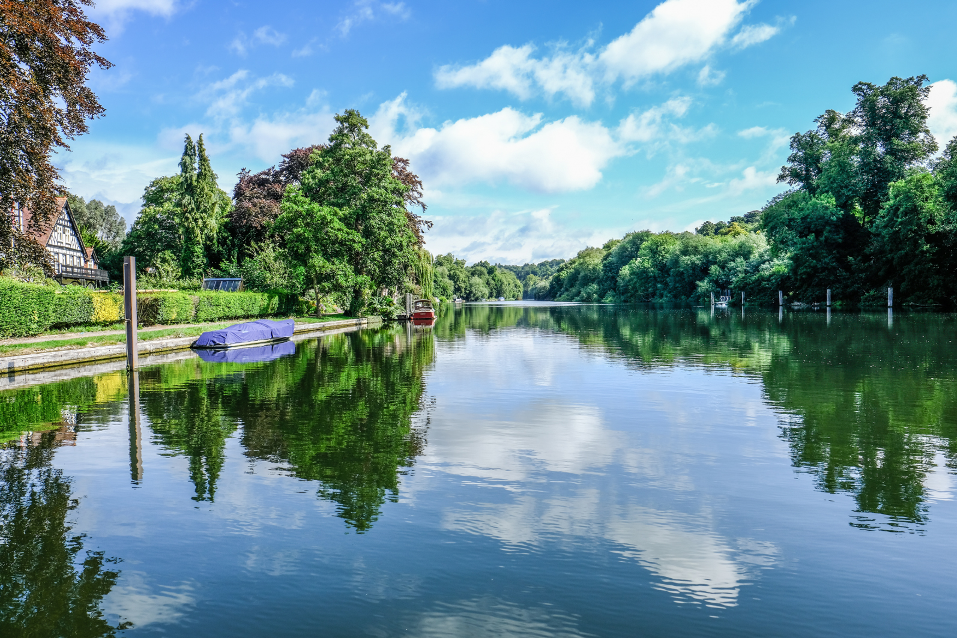 River Thames bordered by trees and riverside houses.