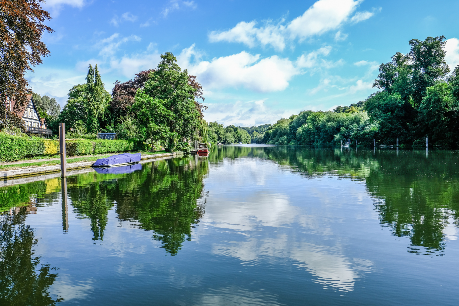 River Thames bordered by trees and riverside houses.