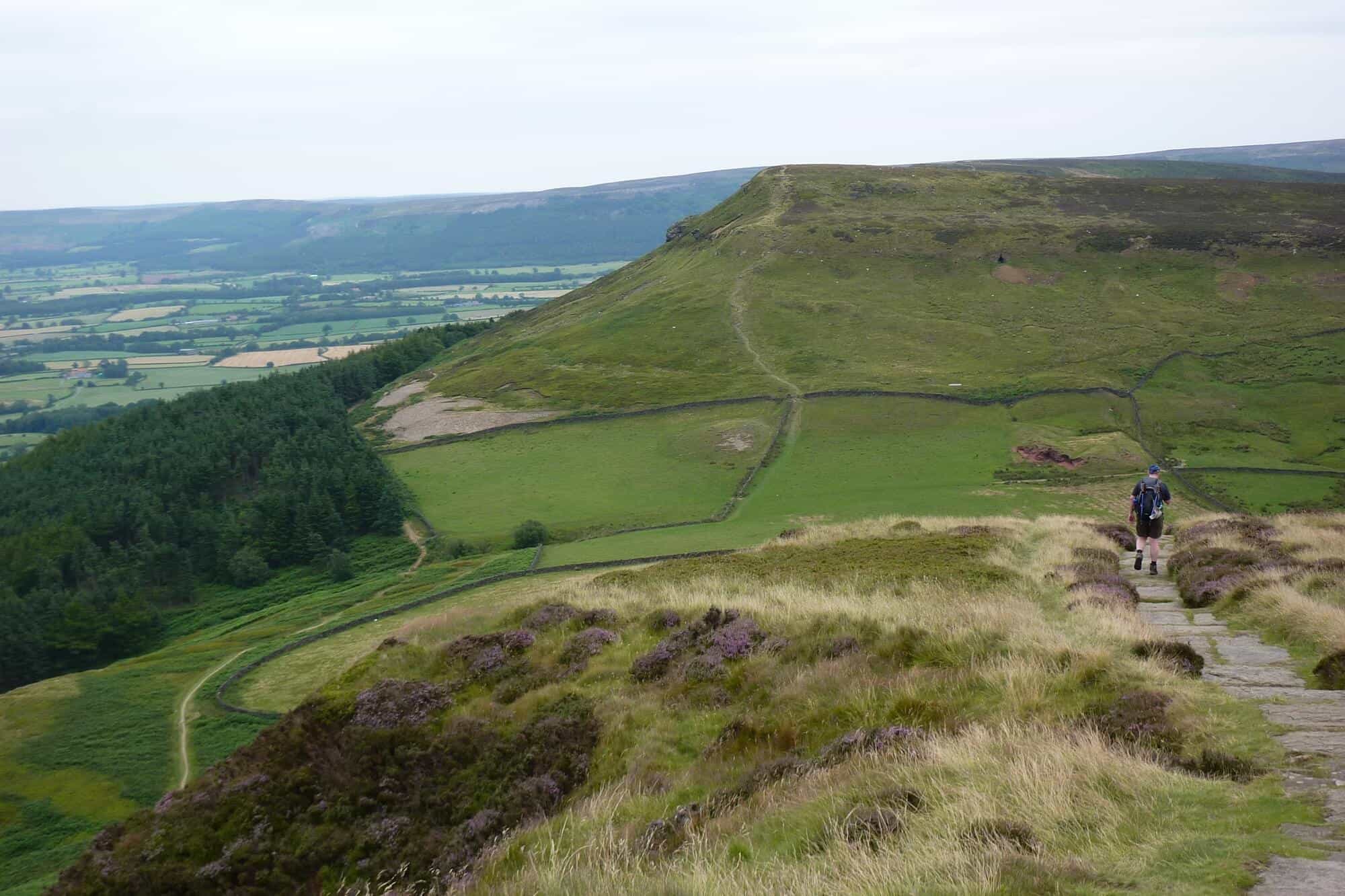 Walking the Cleveland Way, Cringle Moor