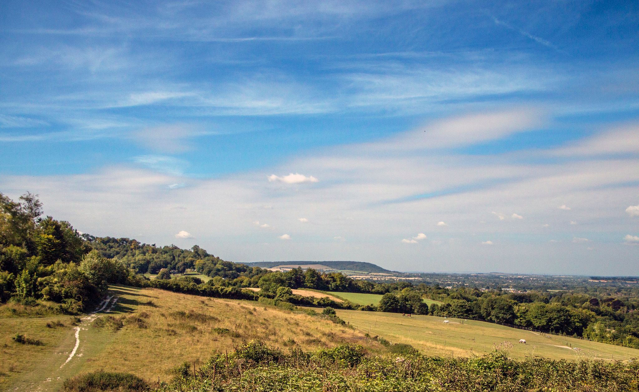 Walking holidays The Ridgeway