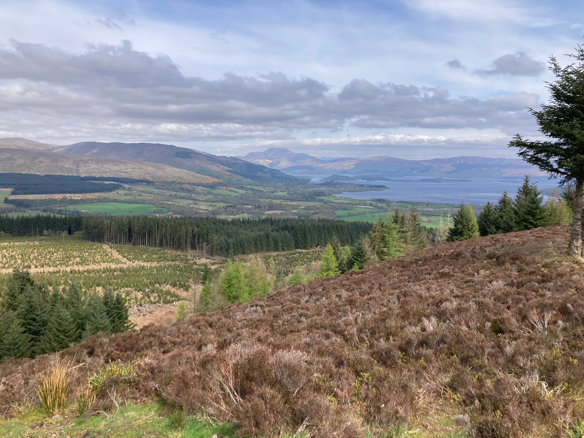 View towards Loch Lomond from open hillside on the John Muir Way.