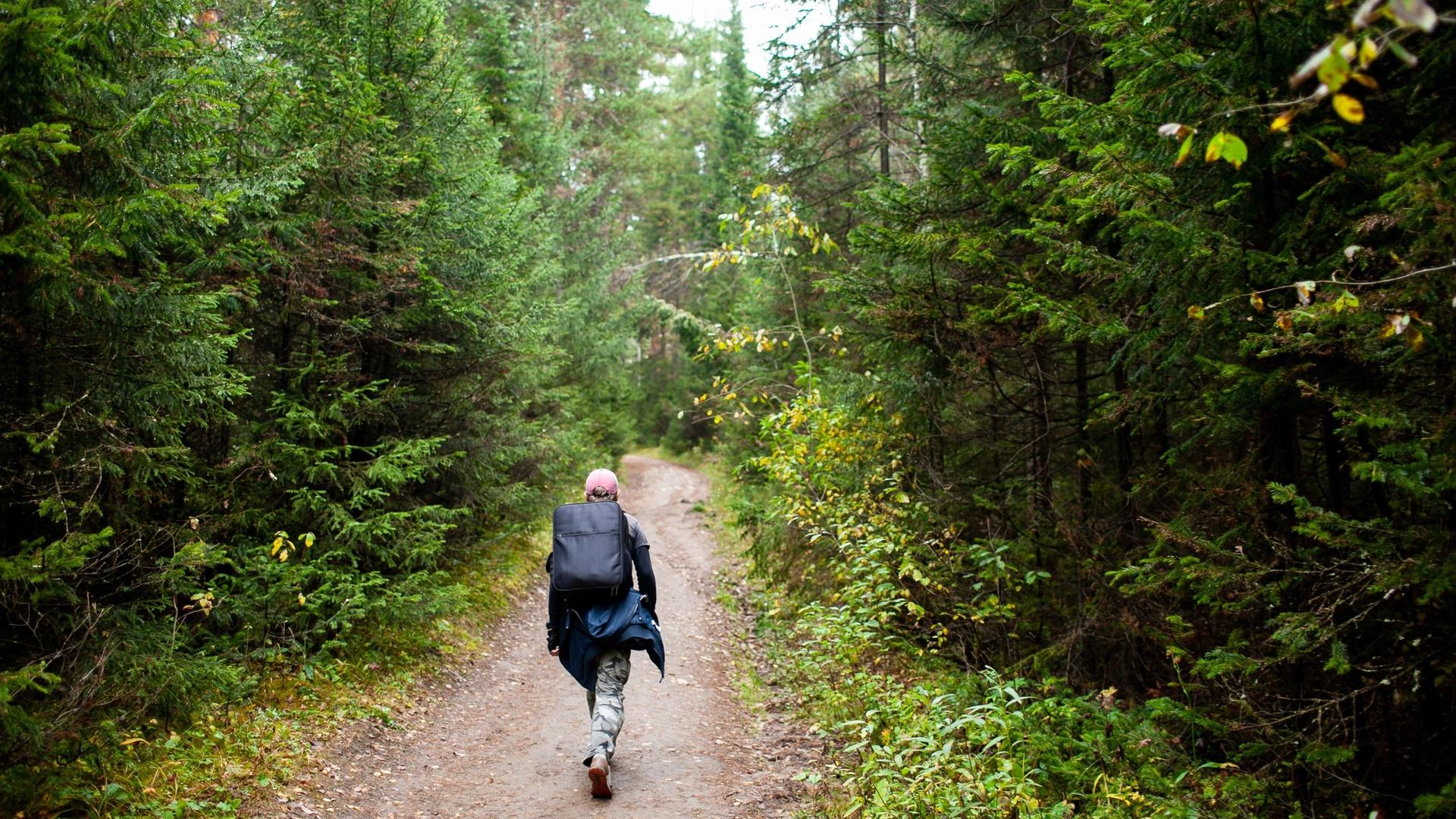 A person with a backpack walks down a dirt path through a dense forest.