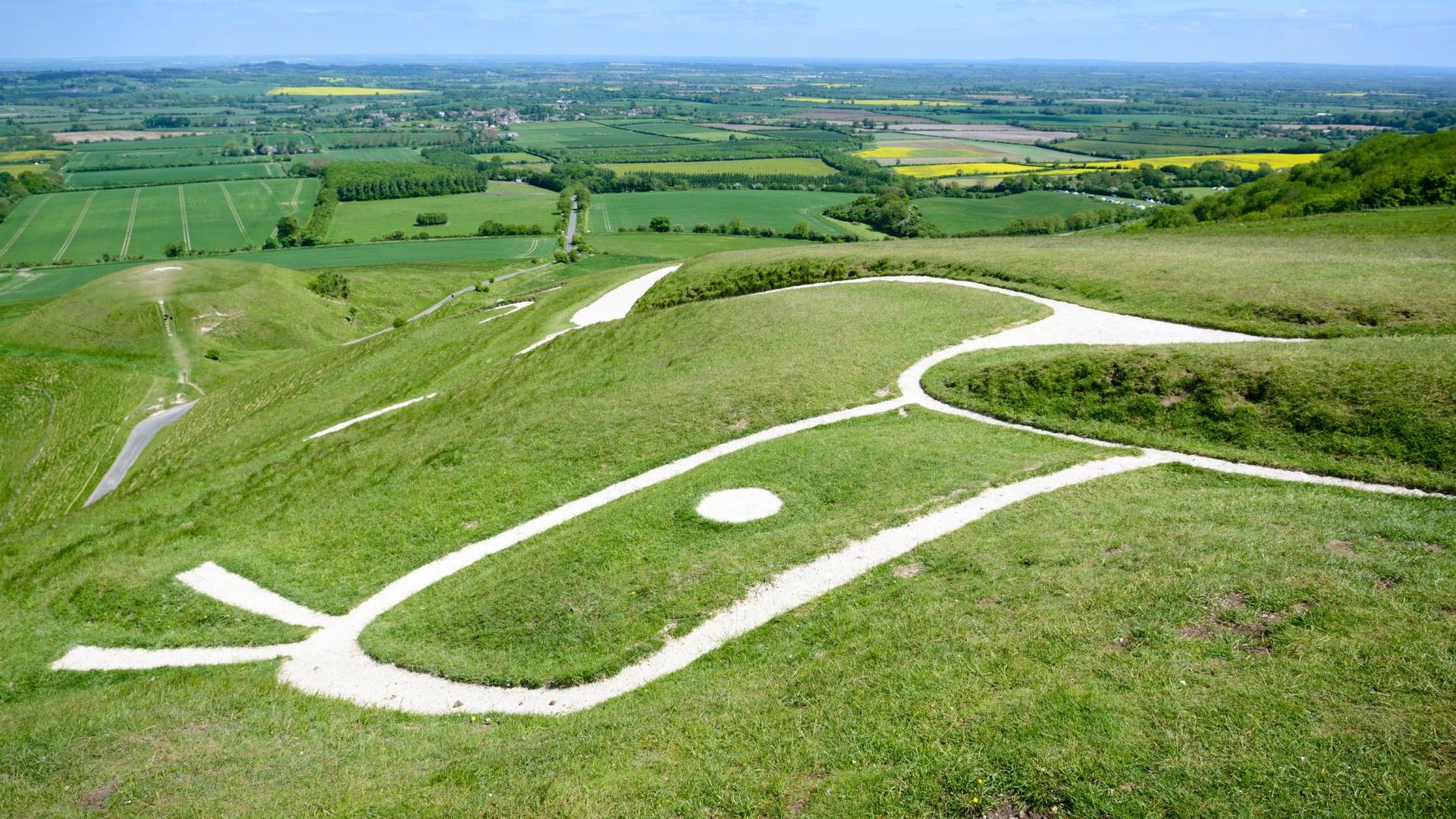 A chalk hill figure of a white horse carved into a grassy hillside, overlooking a rural landscape