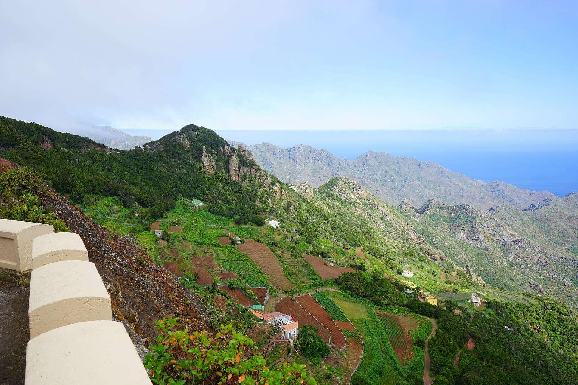 walking-holidays-in-tenerife-anaga-fields