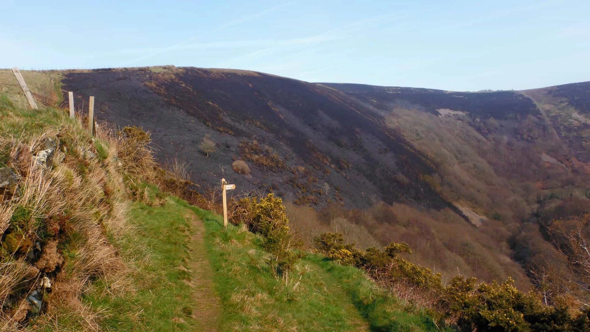Walking in the Quantocks