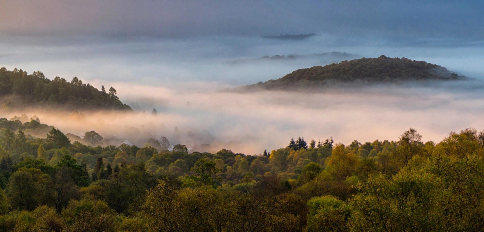 Mist over Aberfoyle