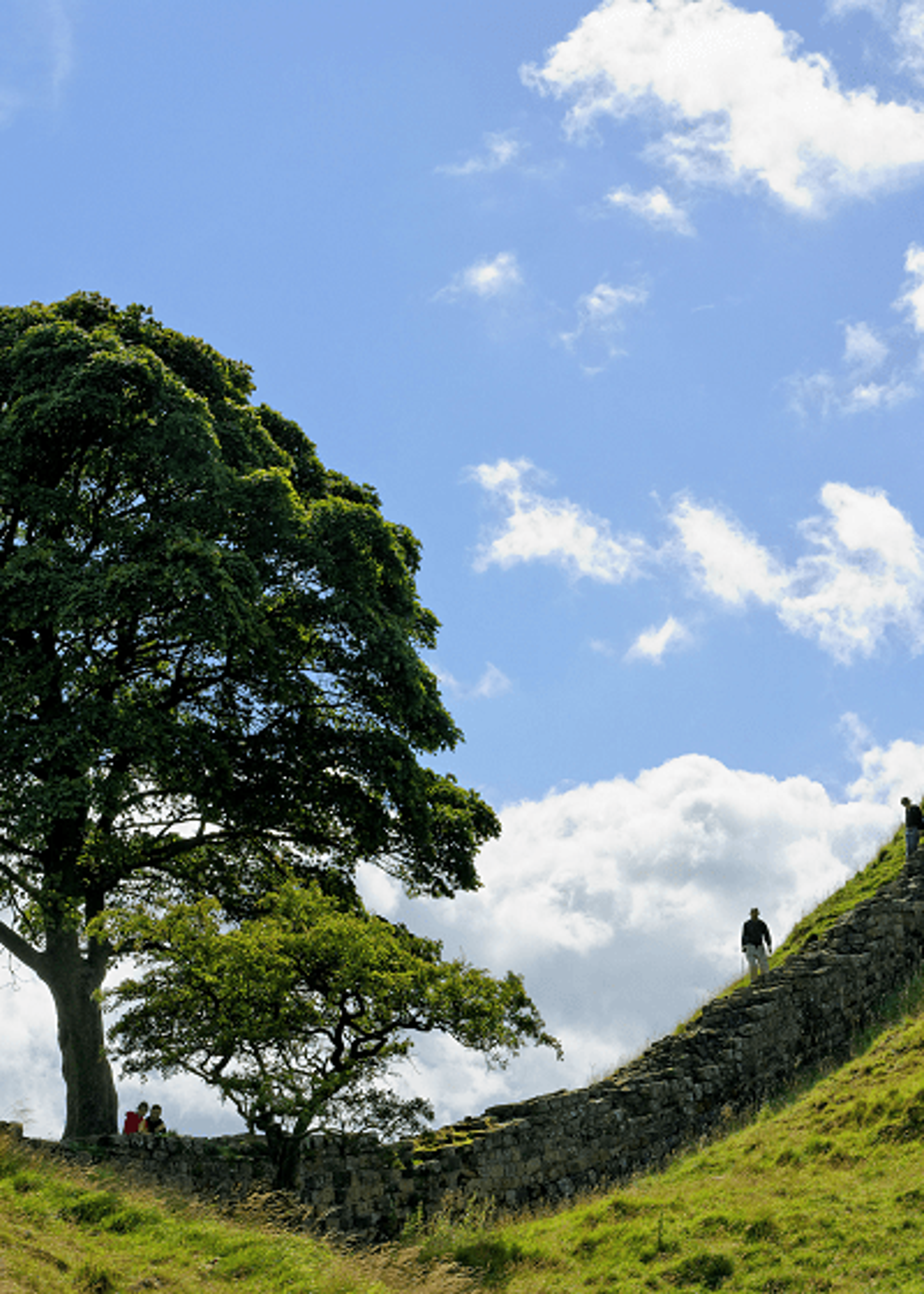 Walker on Hadrian’s Wall at Sycamore Gap in Northumberland National Park
