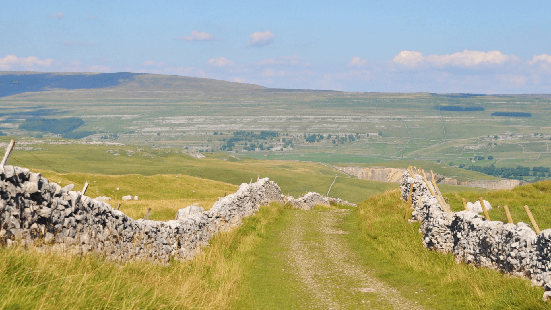 Yorkshire Fields
