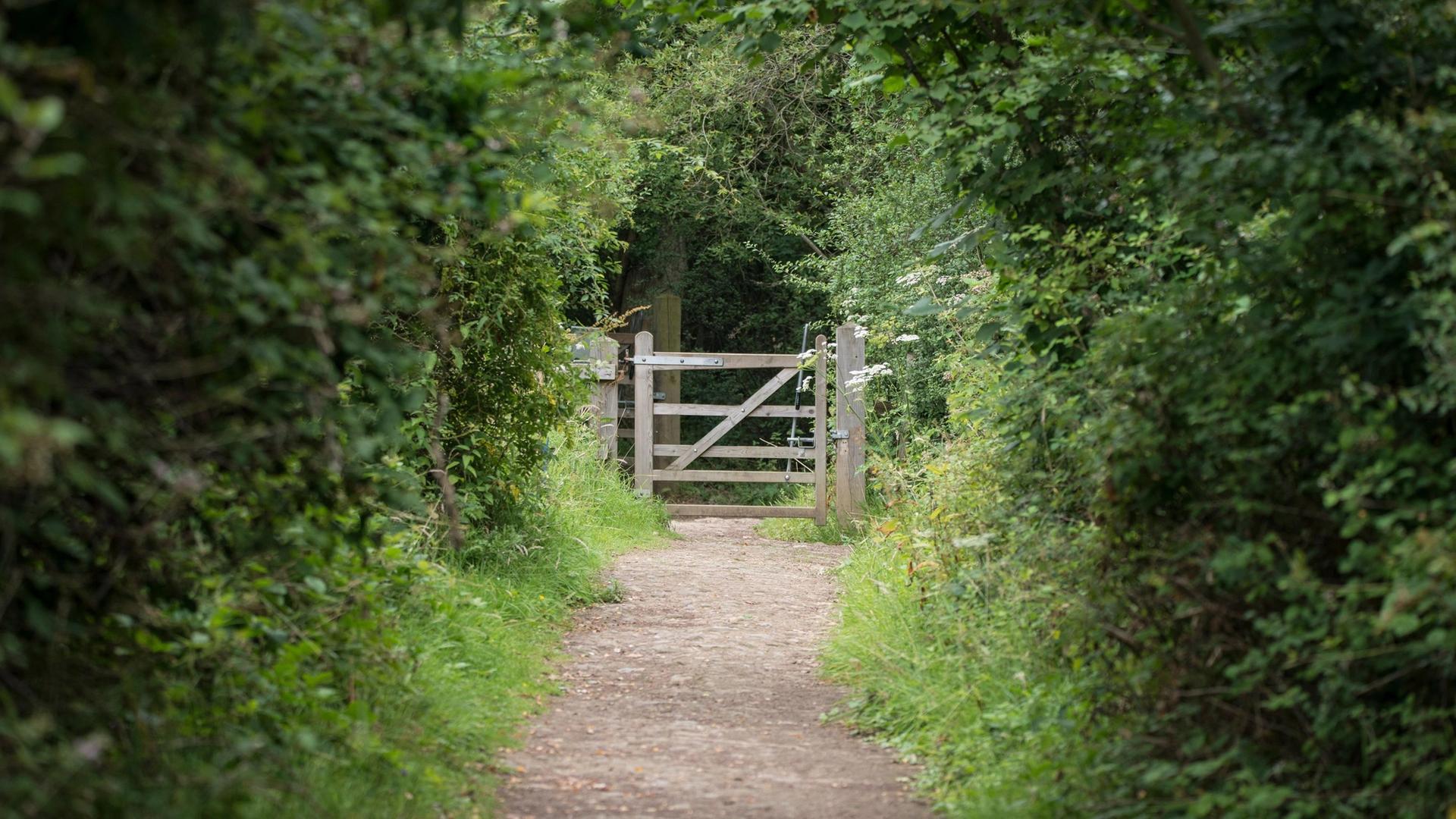 A dirt path leads through lush green foliage to a rustic wooden gate, with trees and bushes lining the way.