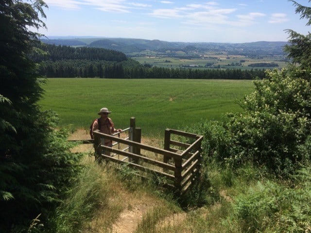 A walker going through a gate