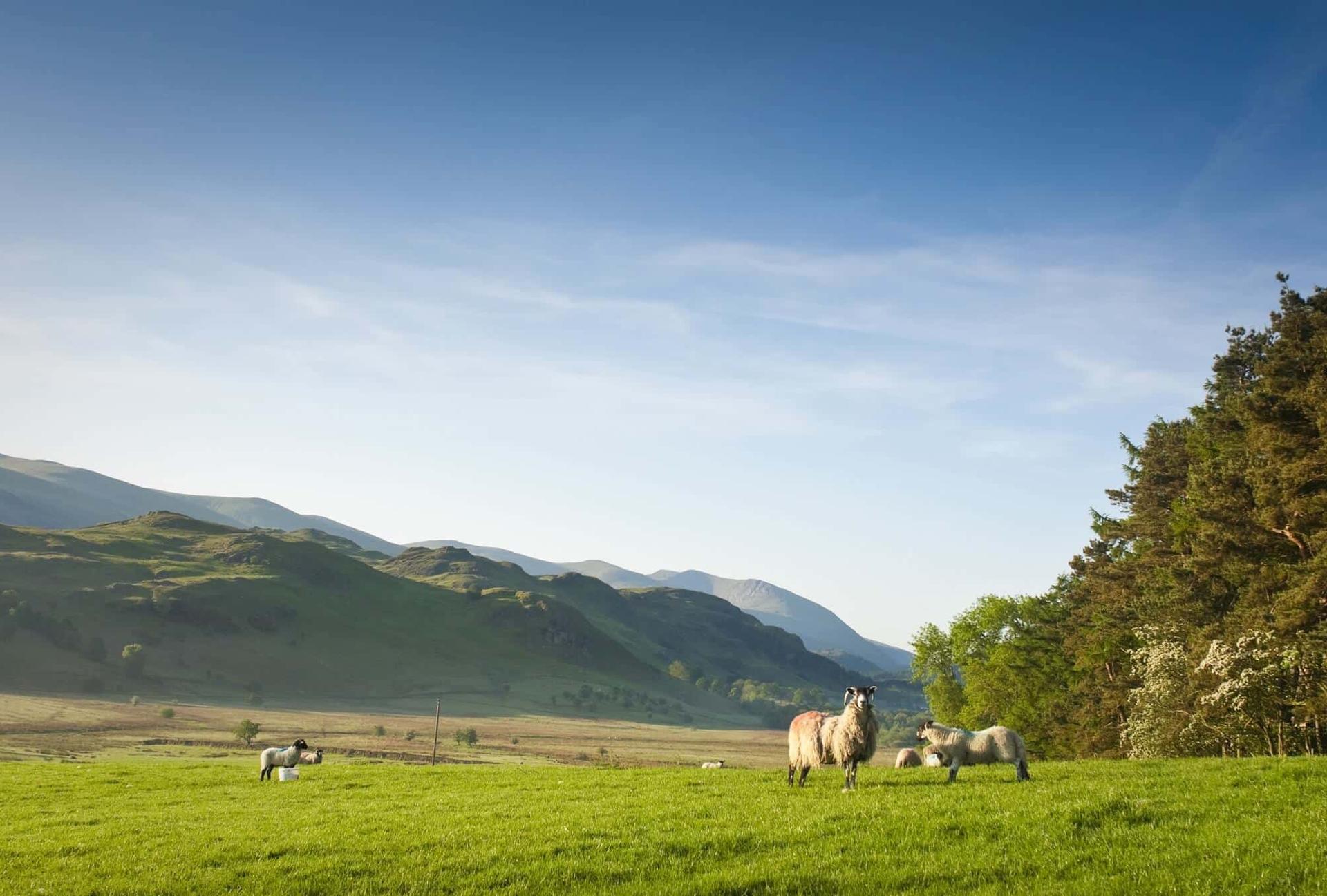 Rural Landscape on The Cumbria Way