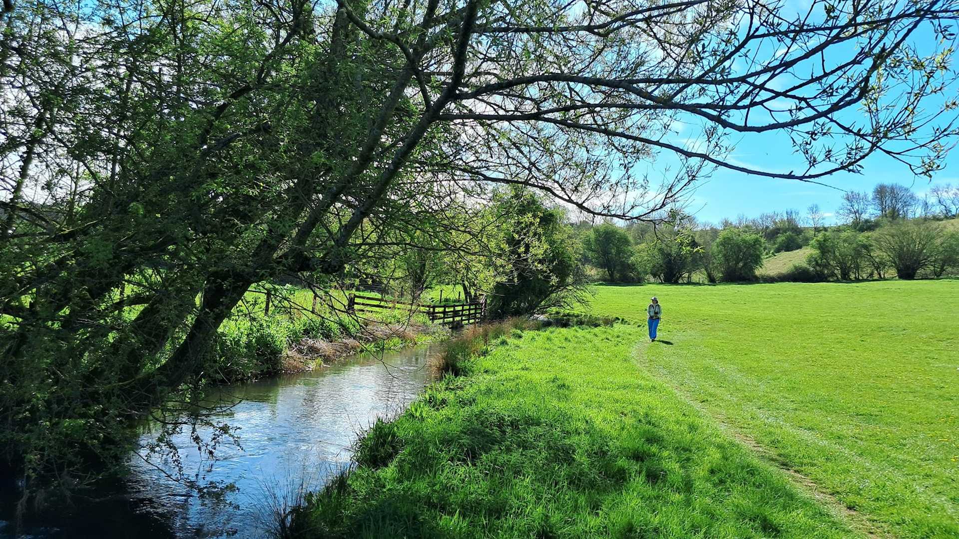 Walker following a quiet riverside path through green countryside on a self-guided walking holiday.