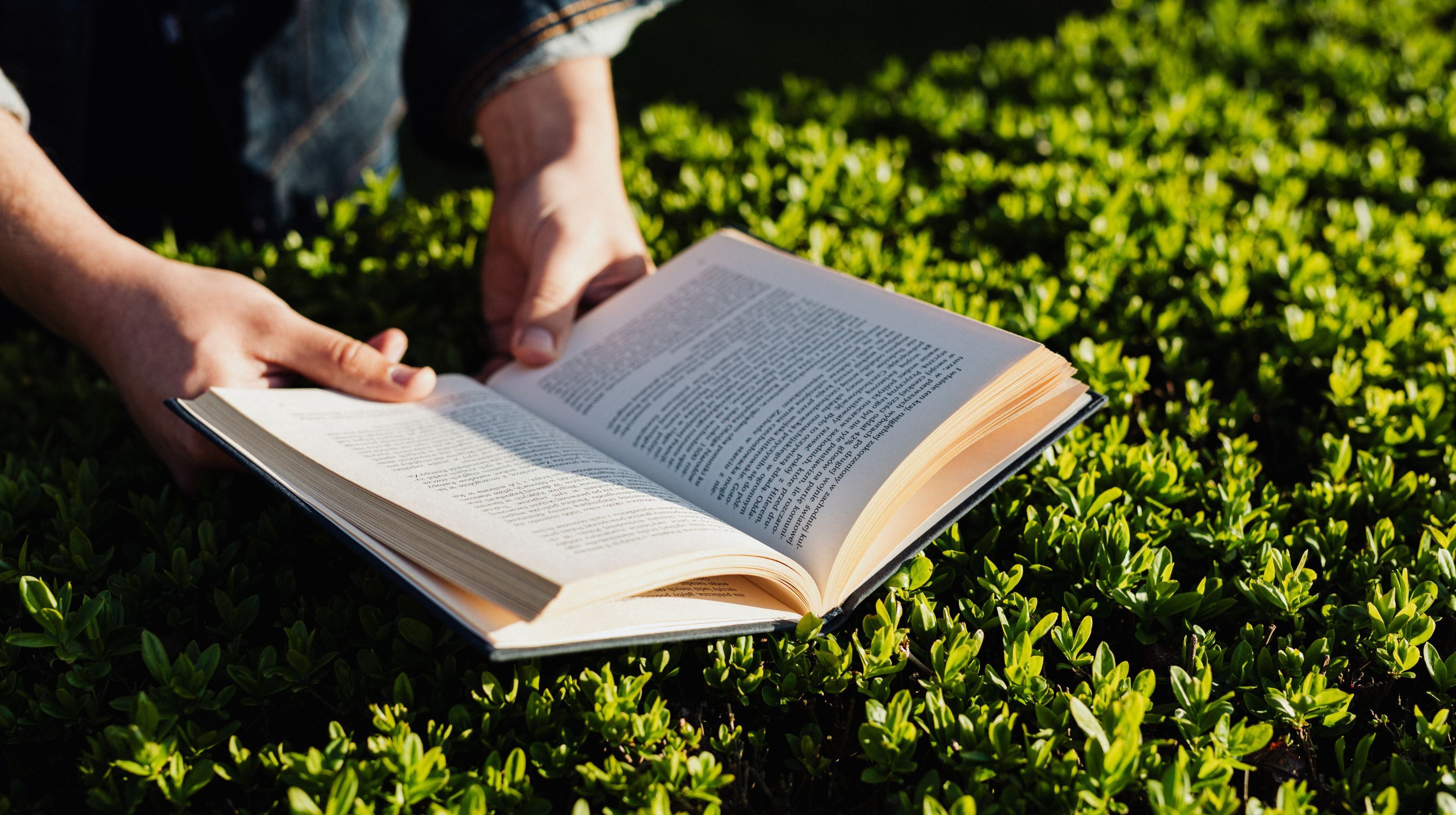 A person holding an open book with text on its pages, resting on lush green foliage.