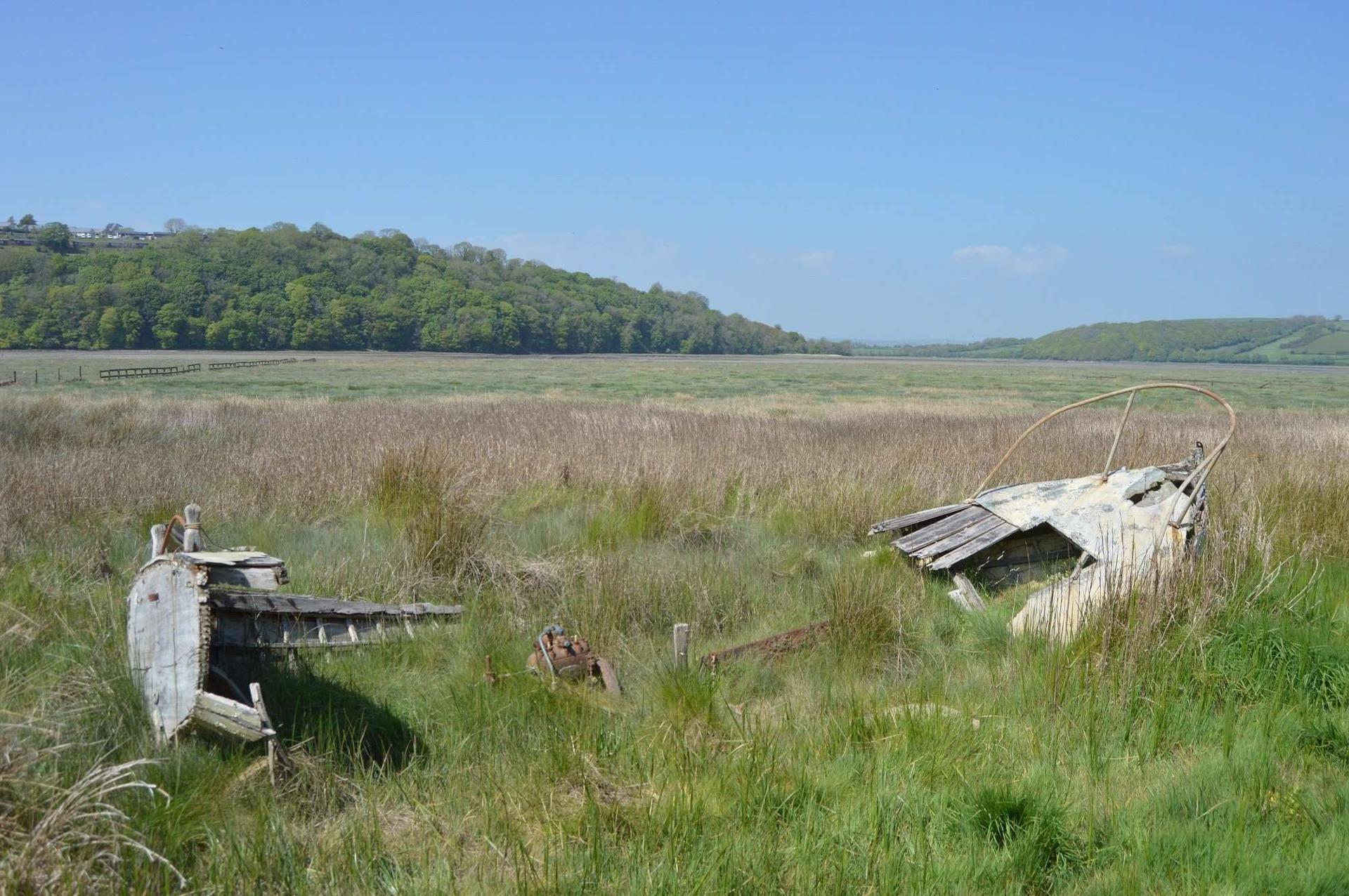 Black Scar Point