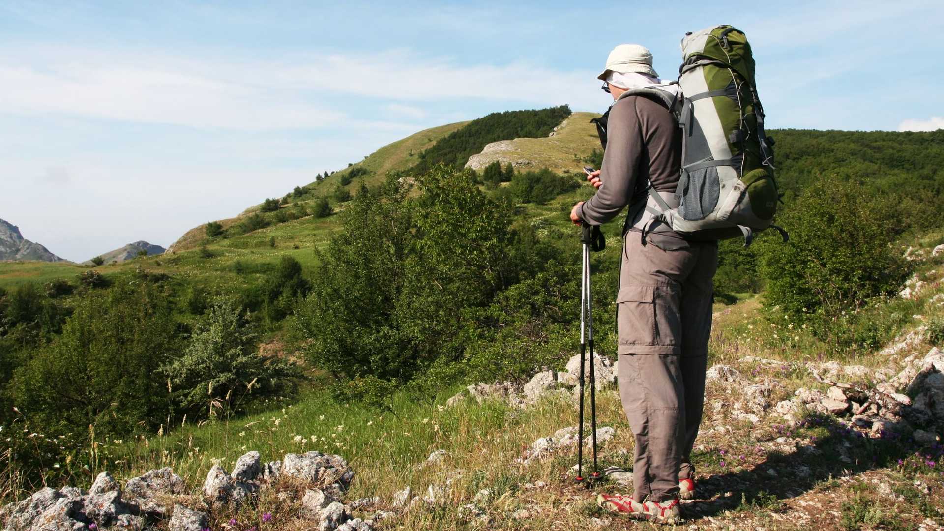 A person with a large backpack and trekking poles stands on a rocky hill overlooking a green, tree-covered landscape under a blue sky.