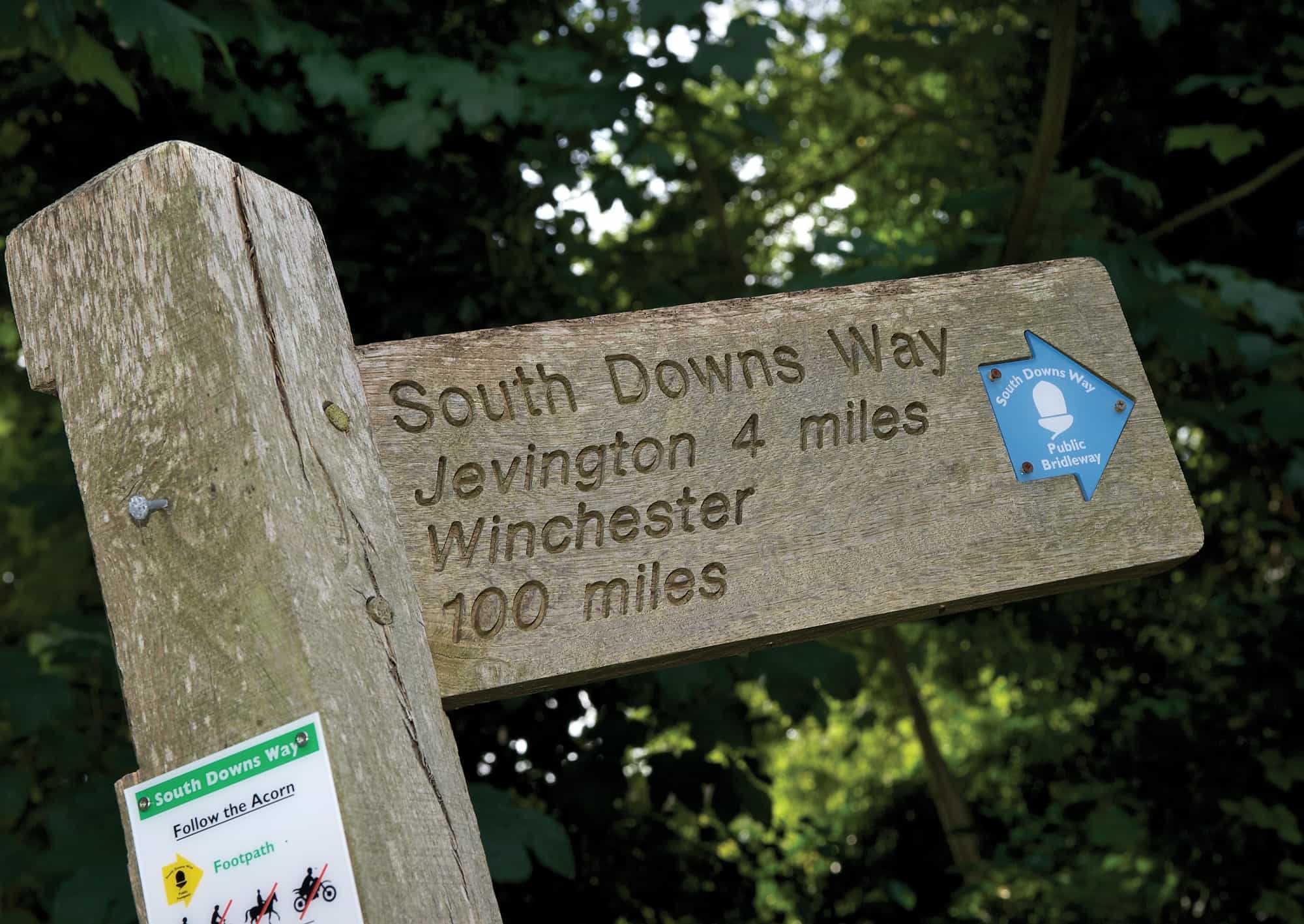 Walking holidays South Downs Way
