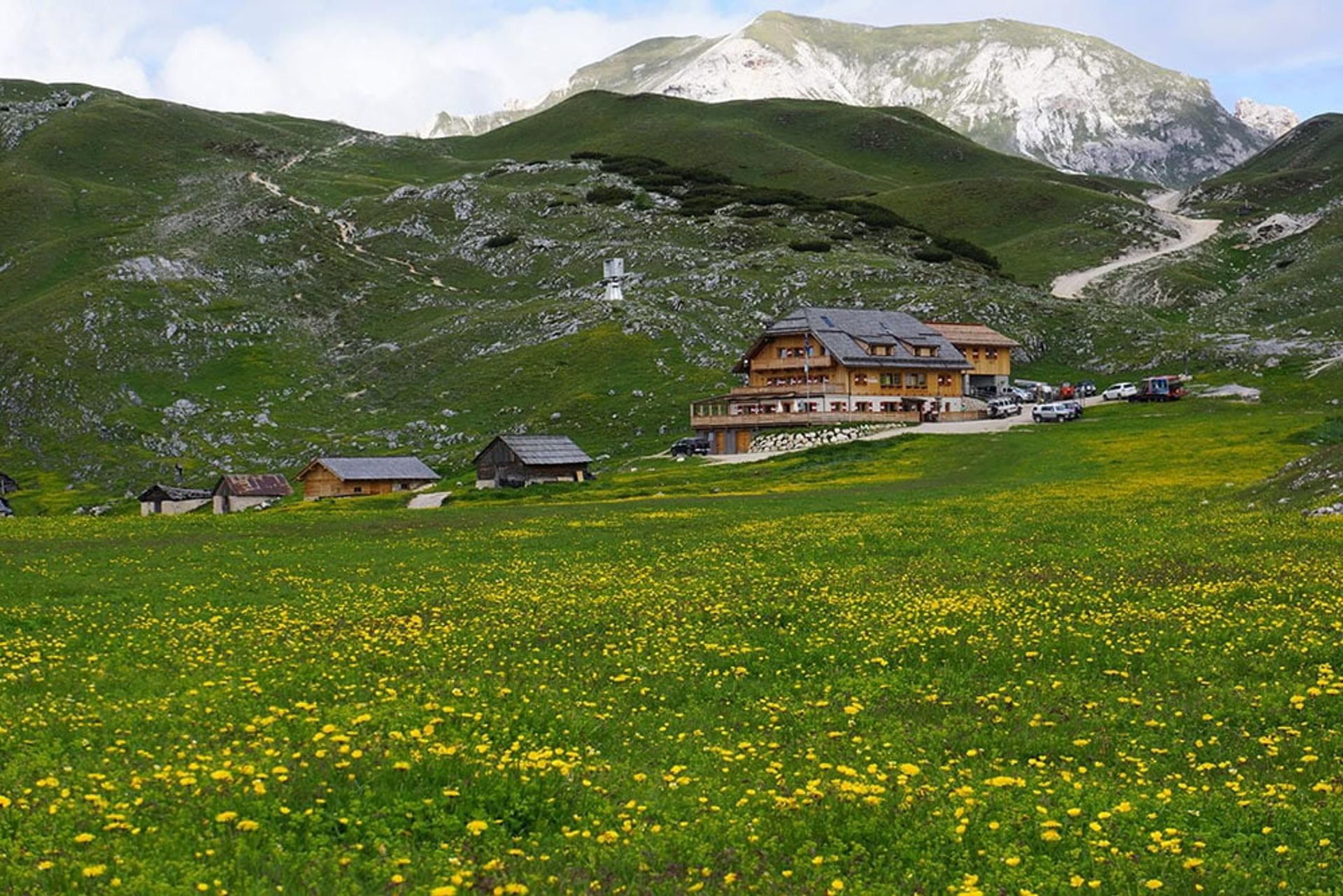 Accommodation