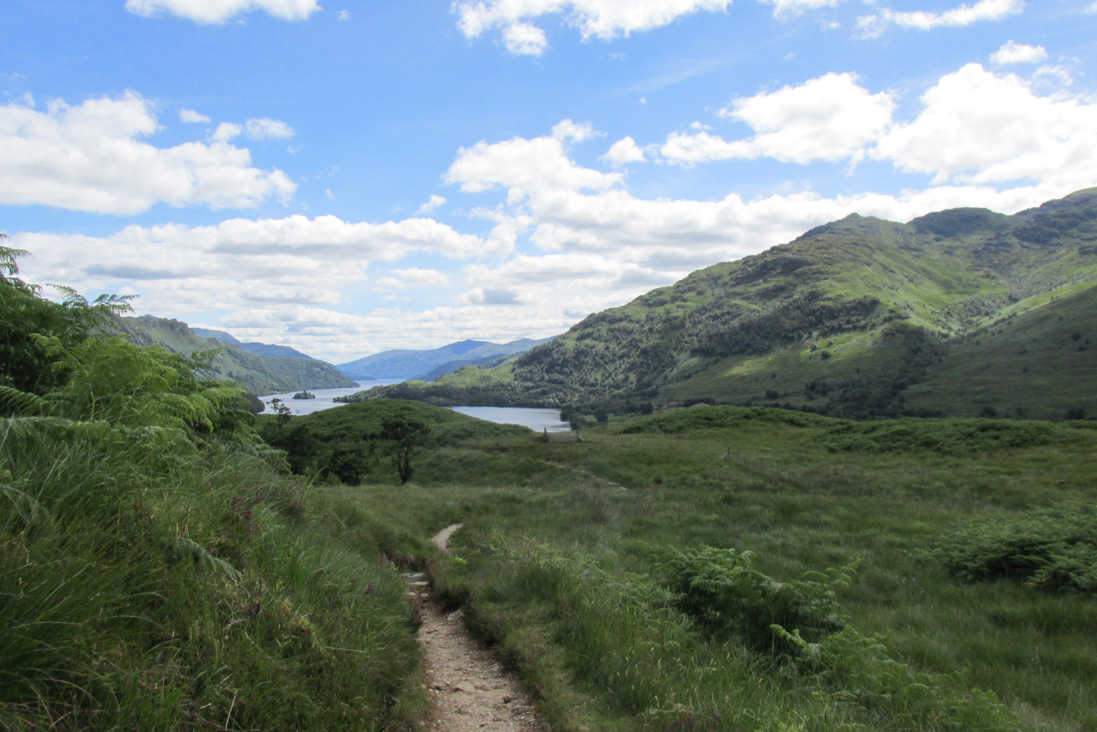 West Highland Way path through bracken overlooking Loch Lomond and the surrounding hills.