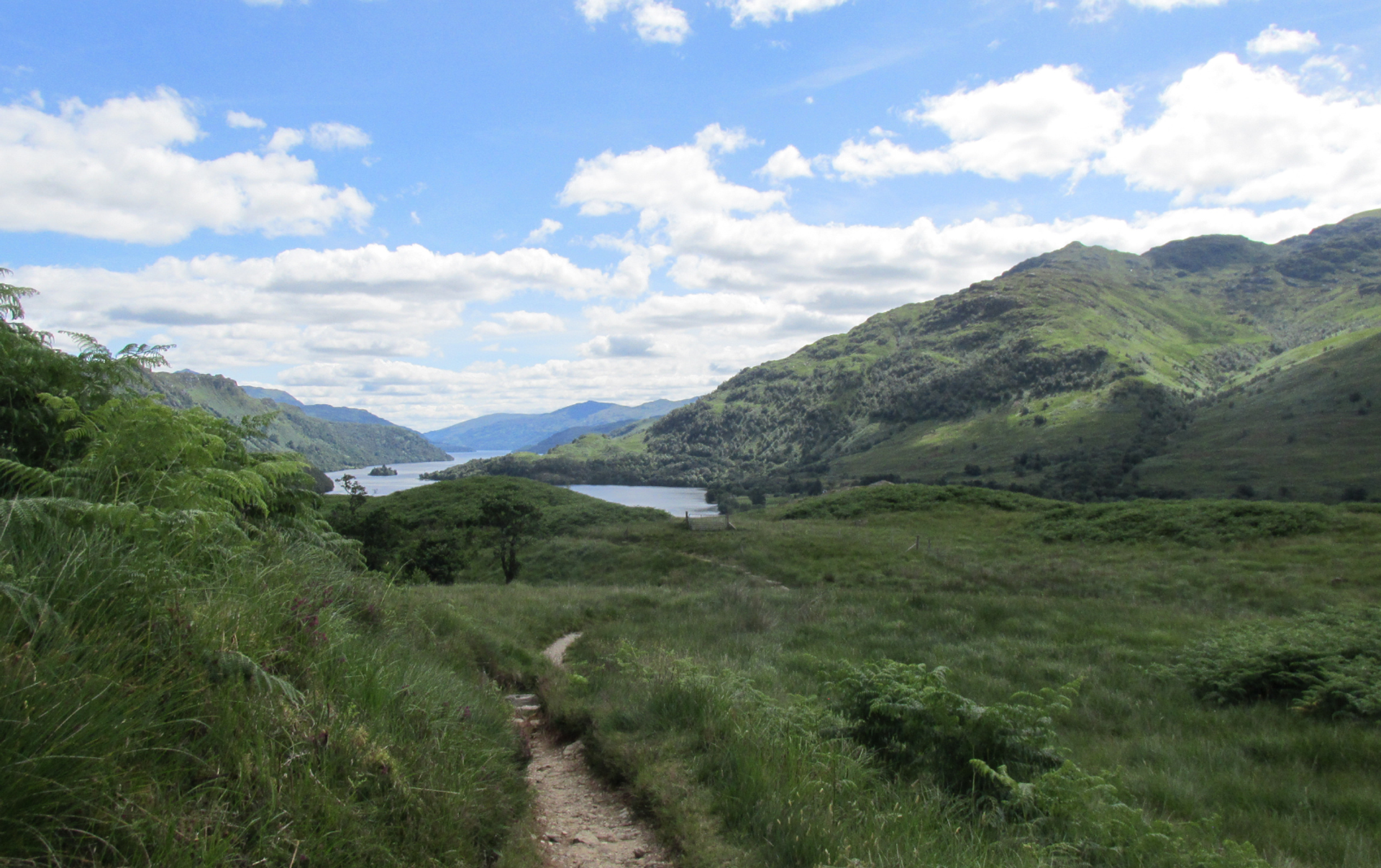 West Highland Way path through bracken overlooking Loch Lomond and the surrounding hills.