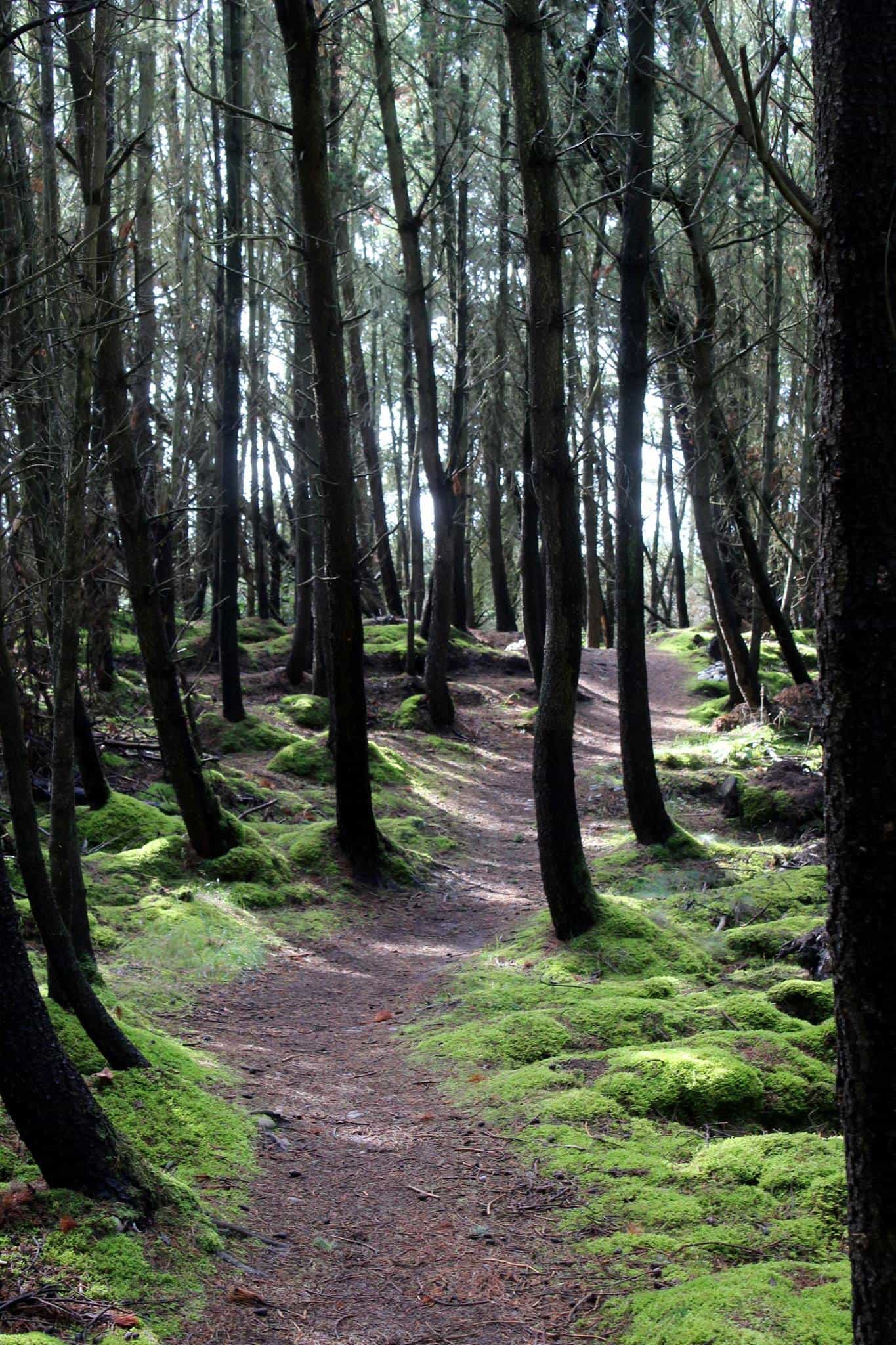 Speyside Way Walking Holidays