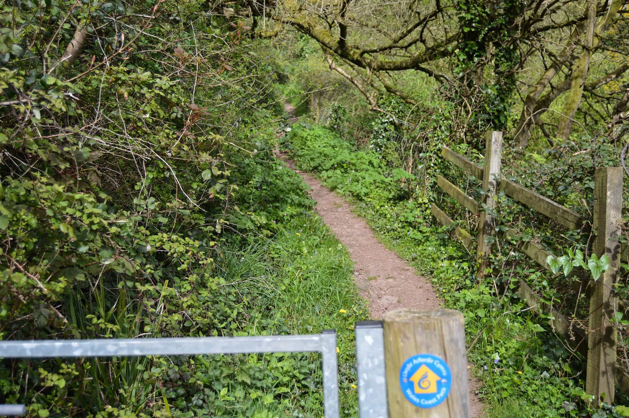 Llwybr Arfordir Cymru Wales Coast Path Carmarthen