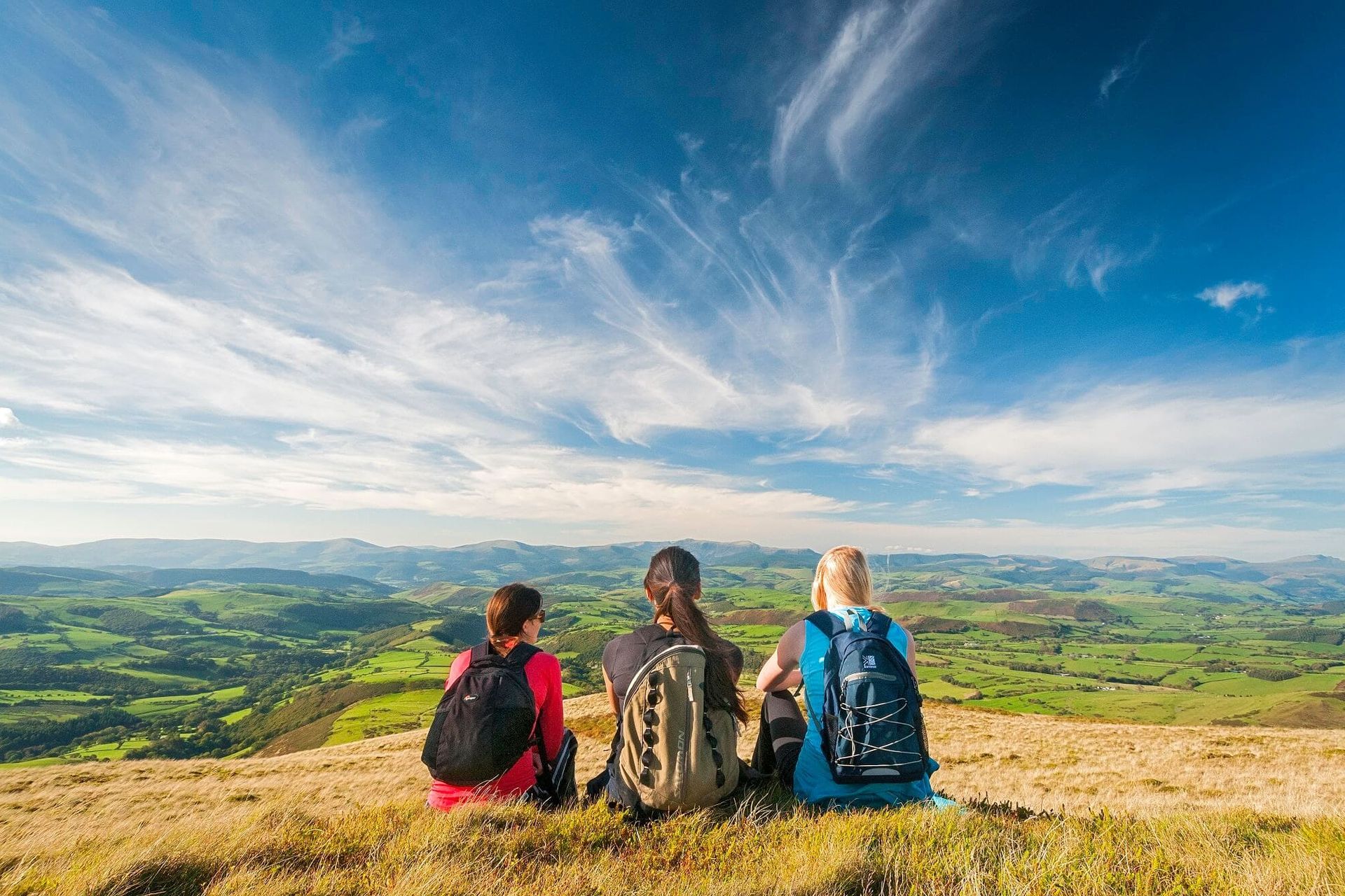 Three walkers enjoying the view