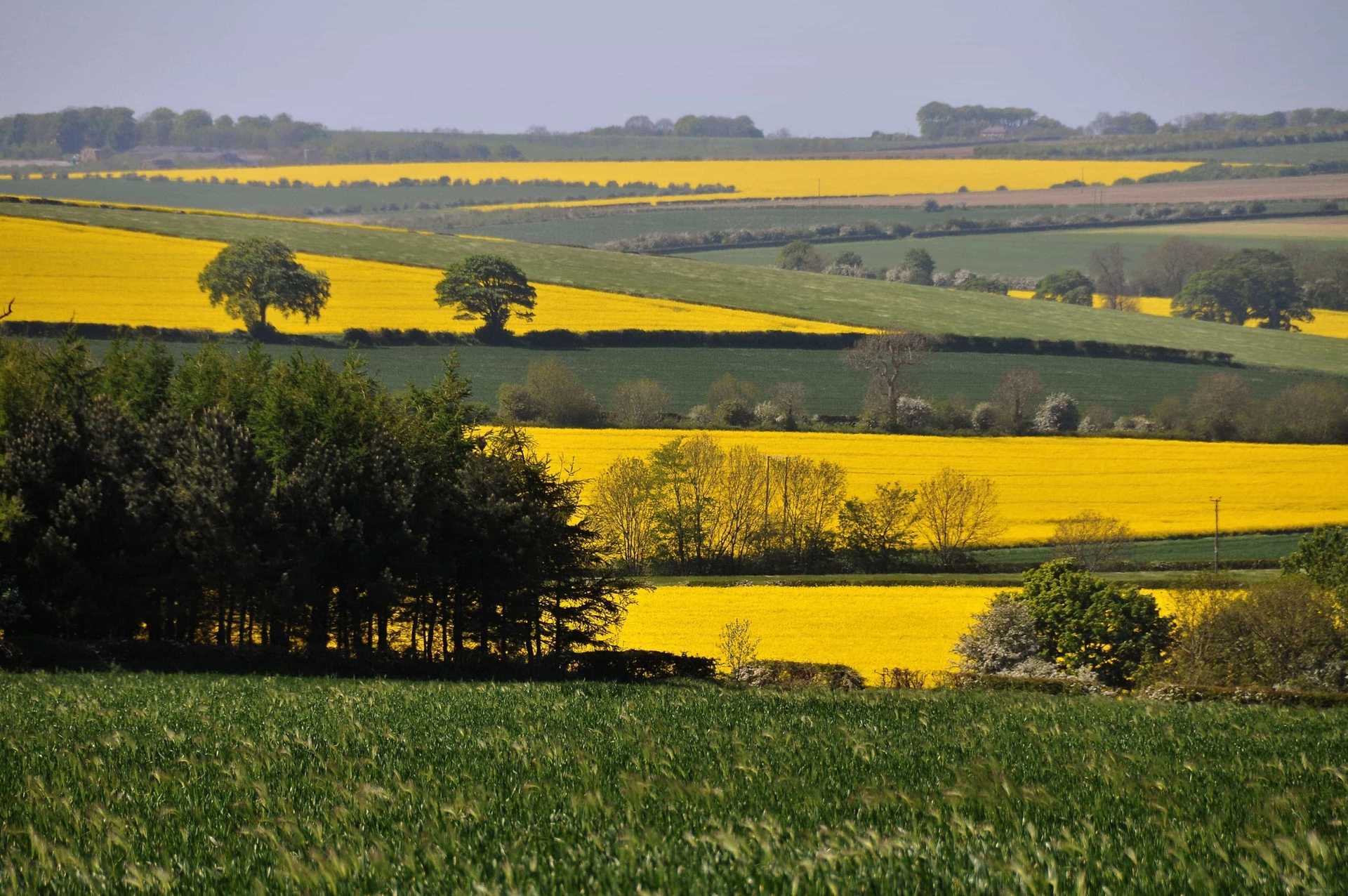 East Riding