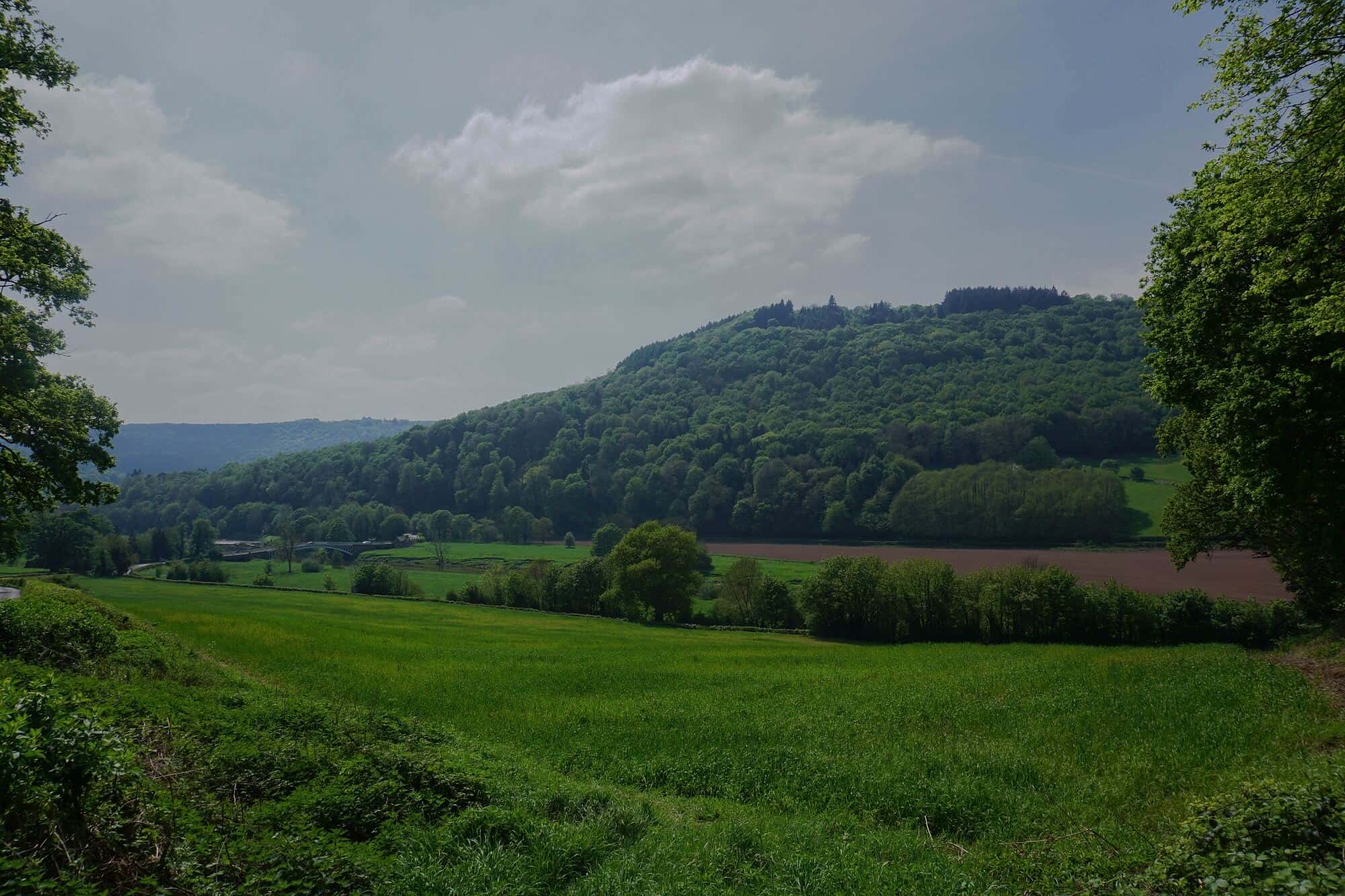 Rolling countryside in the Wye Valley near Monmouth on the Offa’s Dyke Path walking holiday