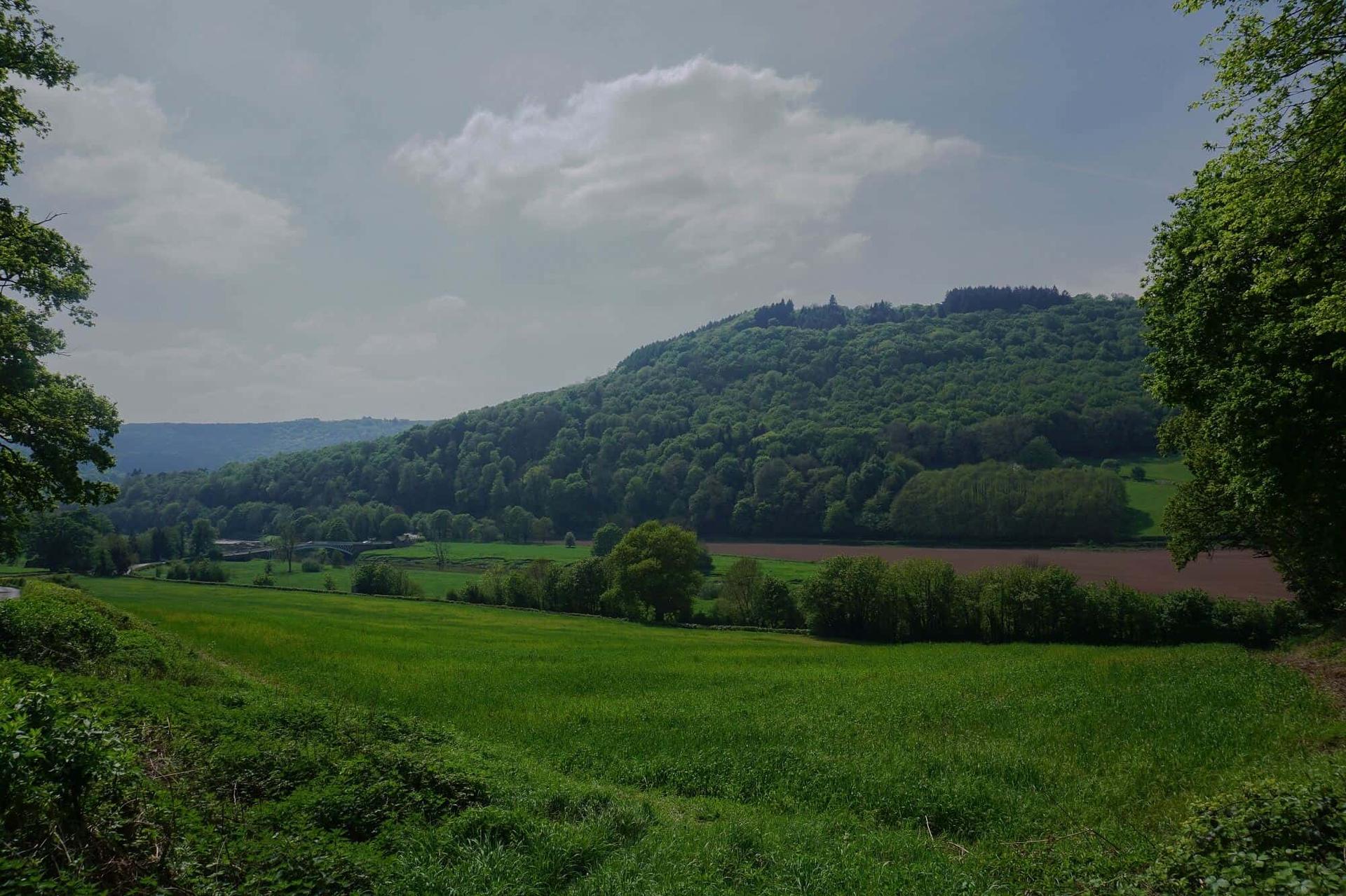 Rolling countryside in the Wye Valley near Monmouth on the Offa’s Dyke Path walking holiday