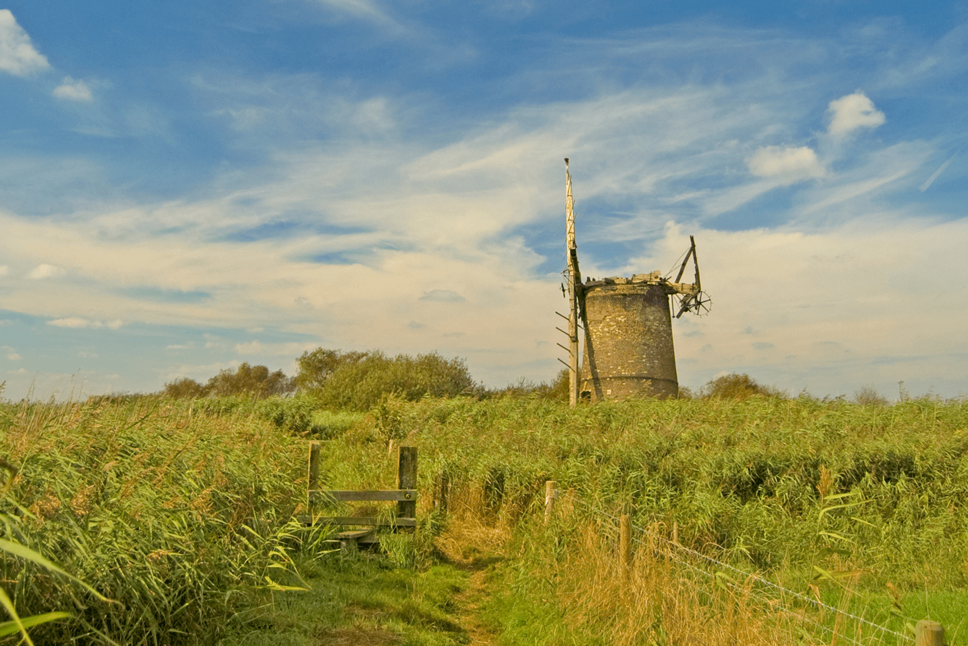 Norfolk Windmill