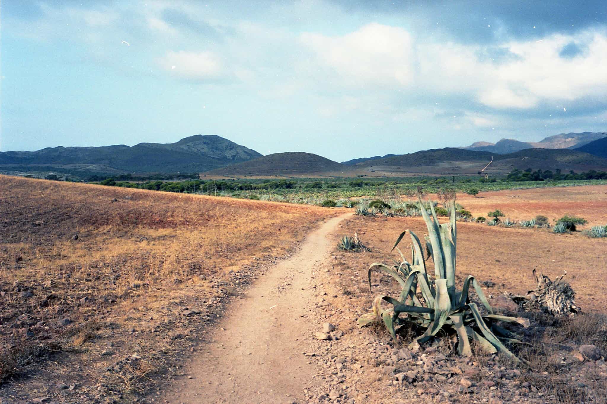 Ramblas on the Cabo de Gata