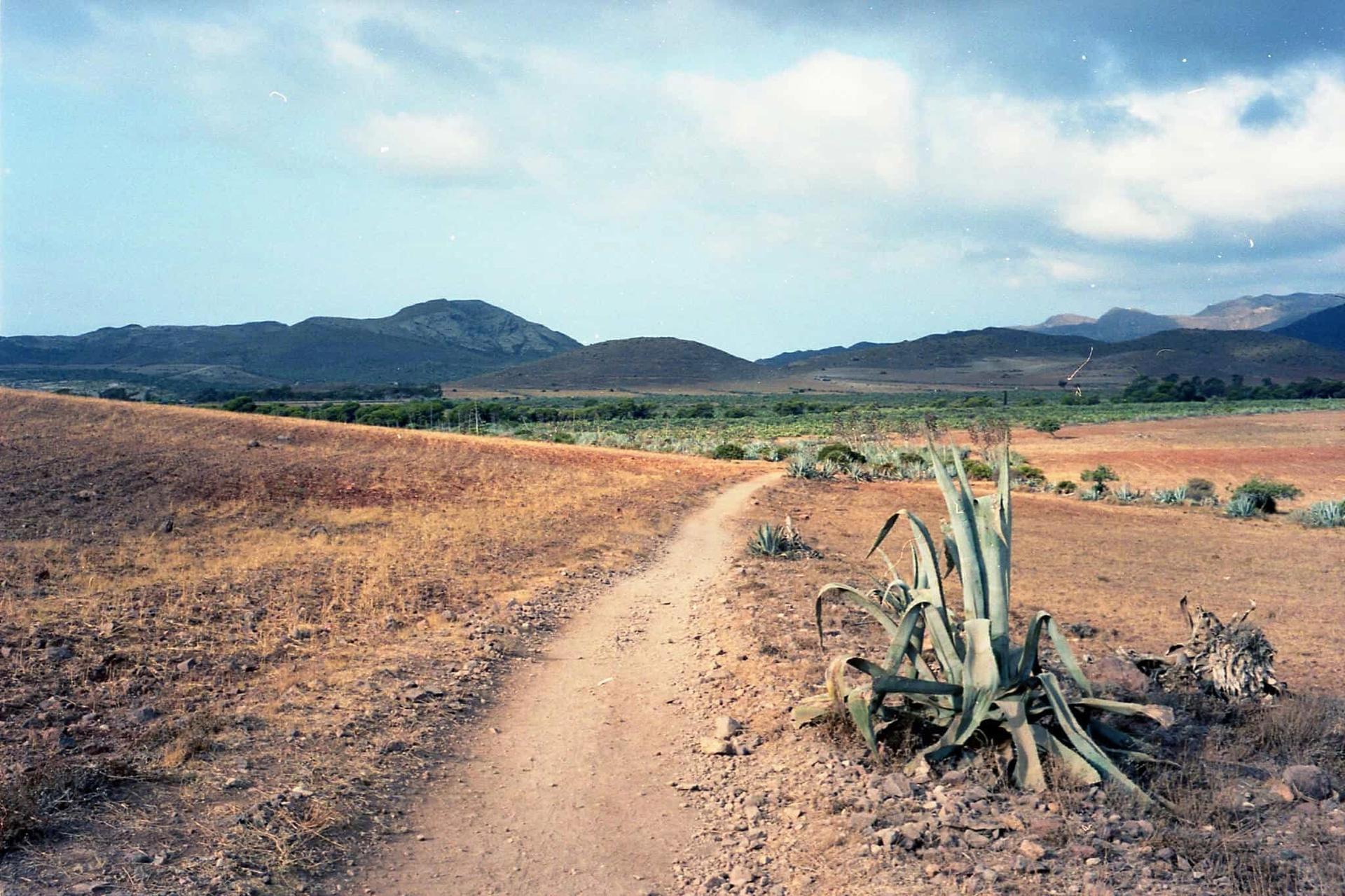 Ramblas on the Cabo de Gata