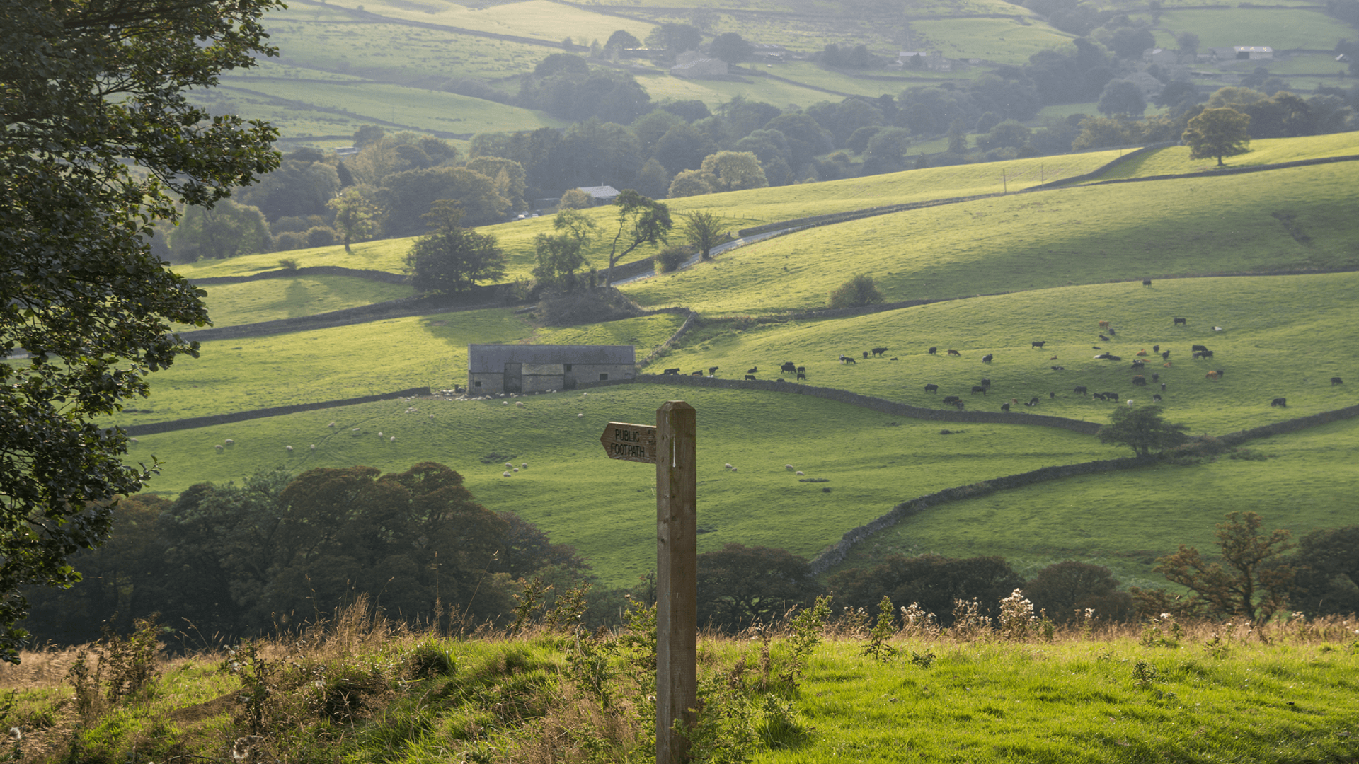 Yorkshire Wolds Walking Holidays in England