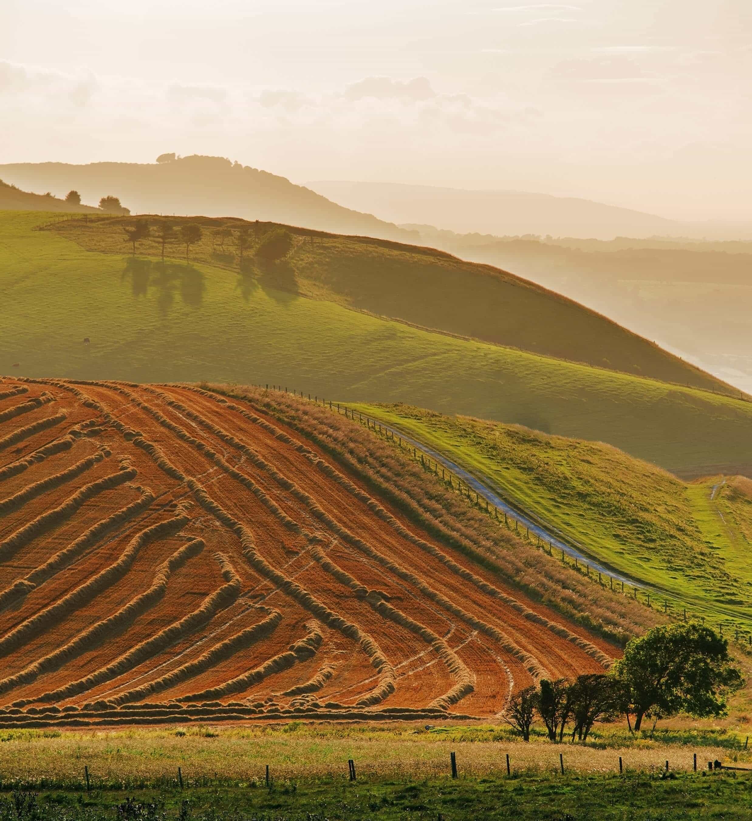 Walking the South Downs Way