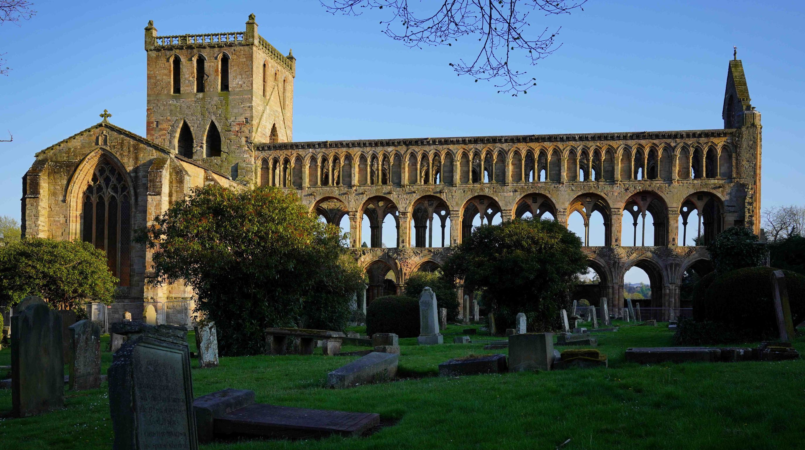 The ruins of a large stone abbey with a tower, set in a grassy graveyard under a clear blue sky.