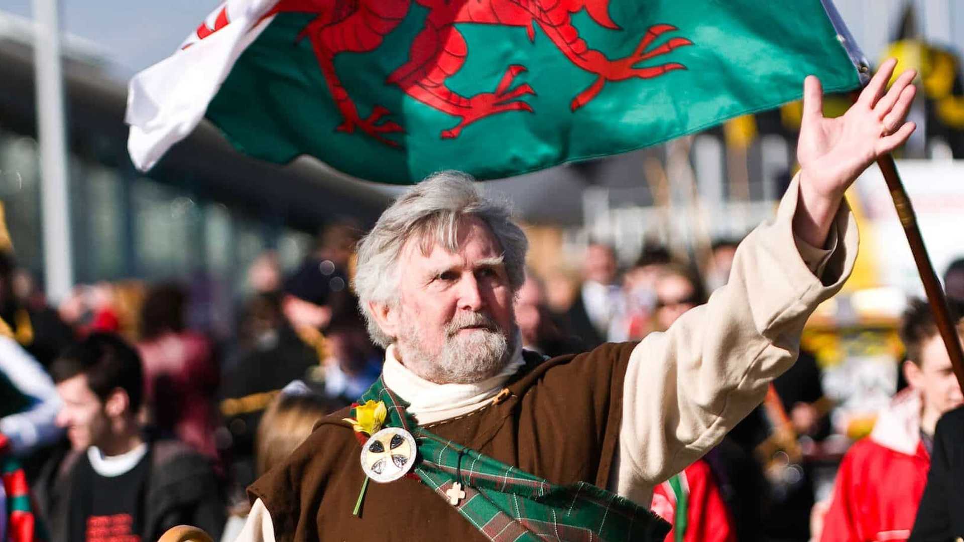 St David's Day Celebration