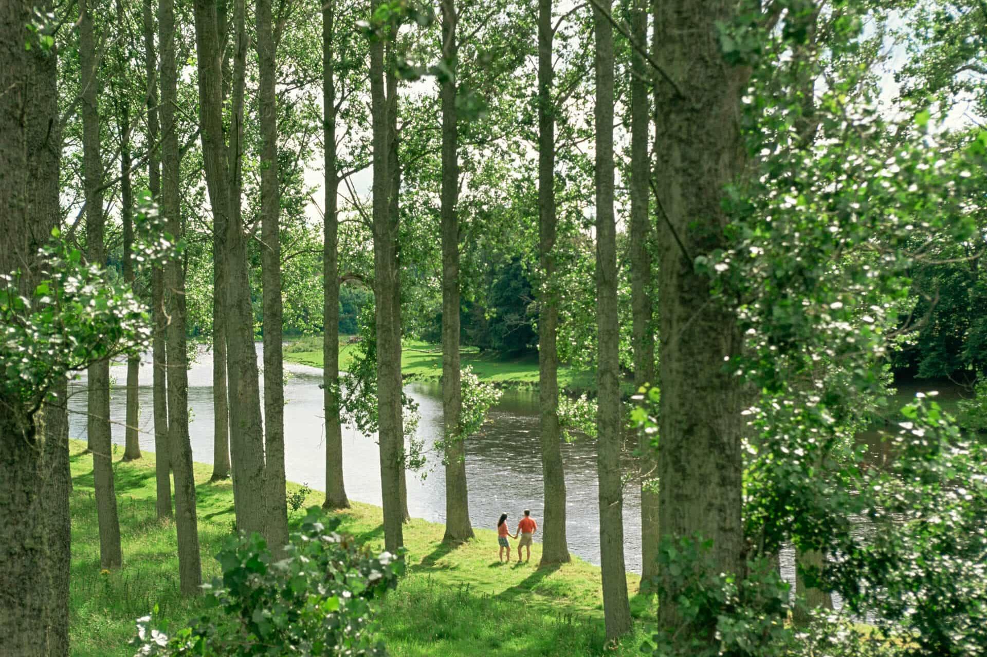 Mertoun Gardens near St Boswells