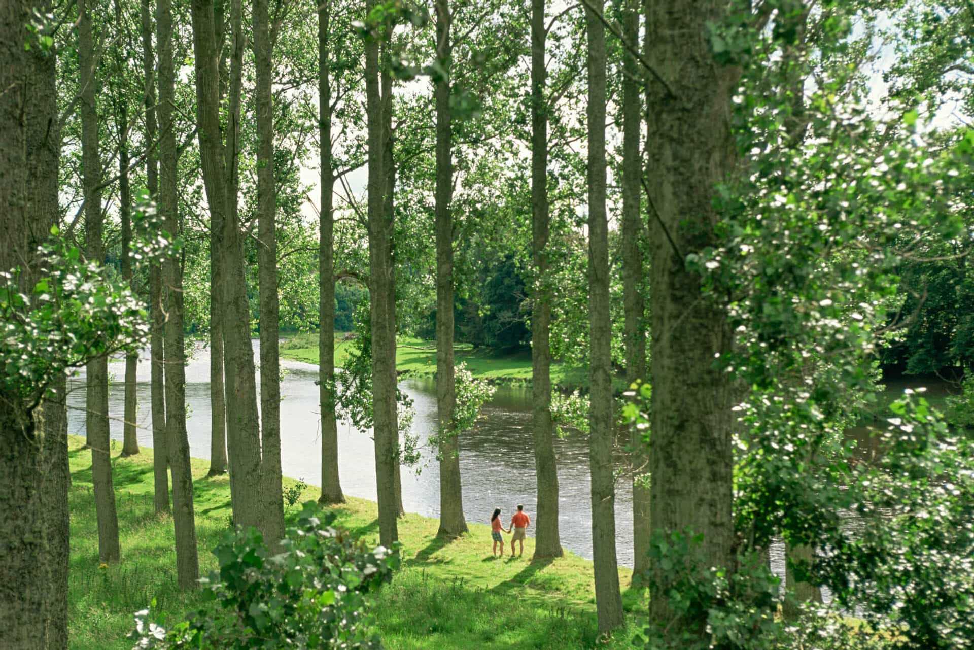 Mertoun Gardens near St Boswells