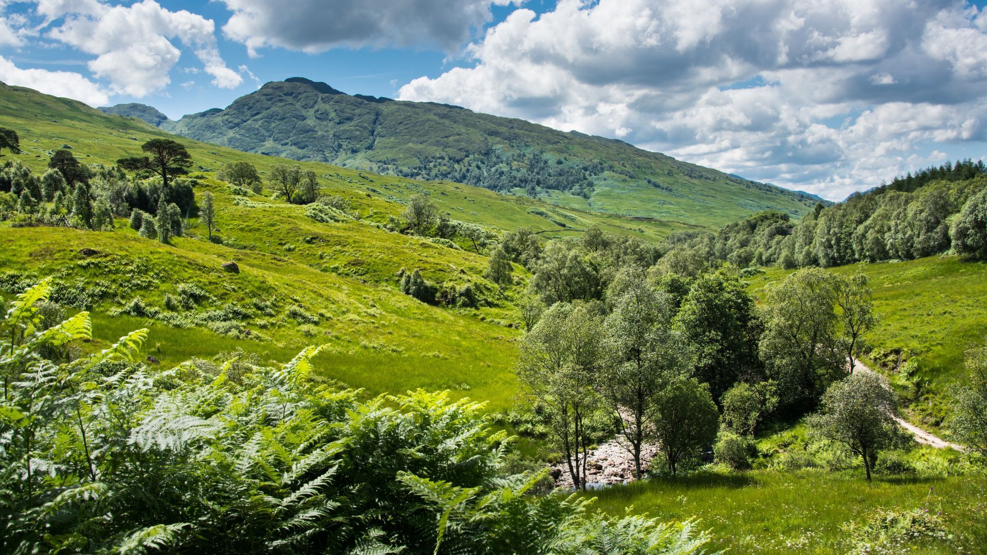 Summer's Day on the West Highland Way