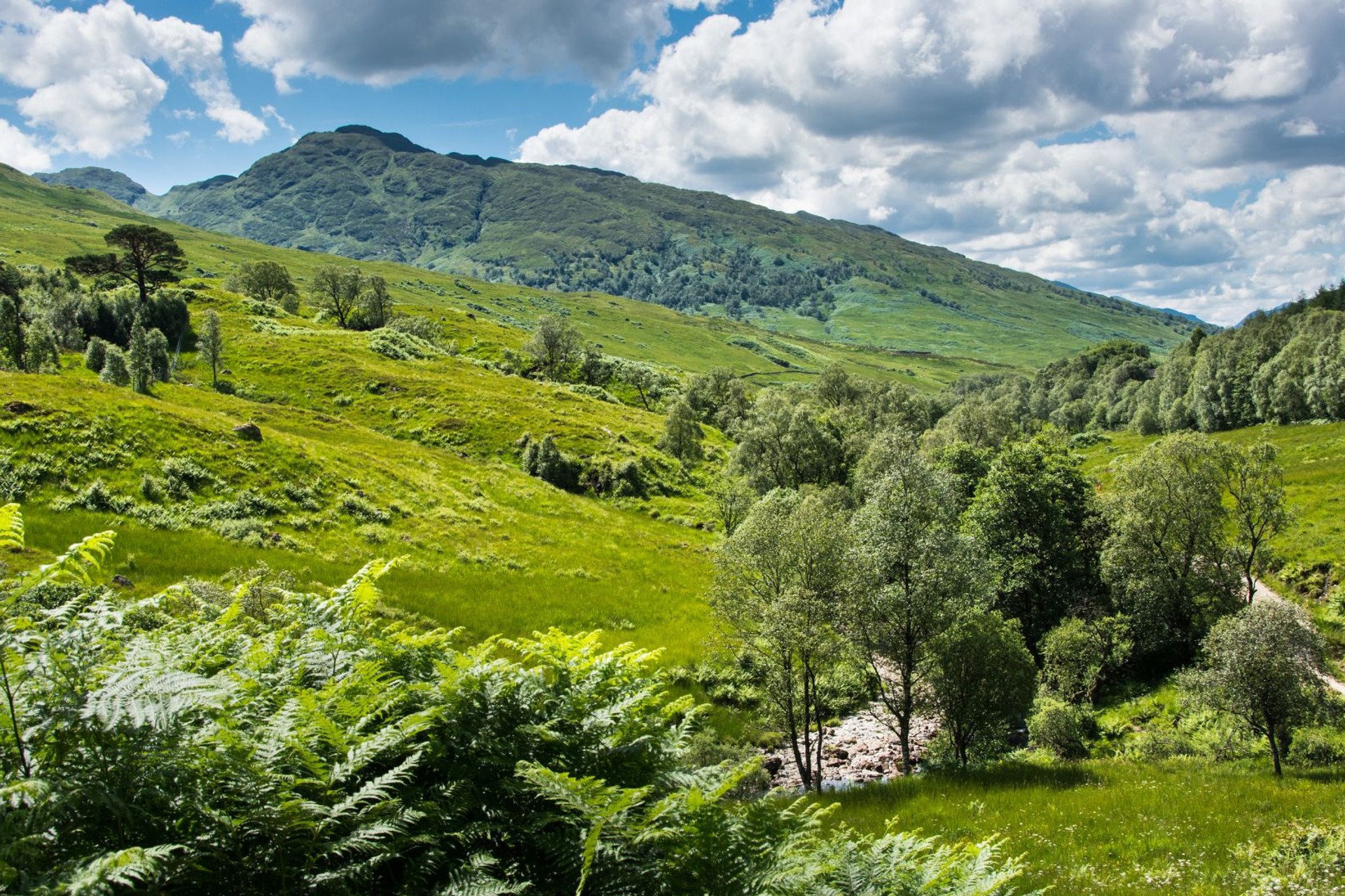 Summer's Day on the West Highland Way