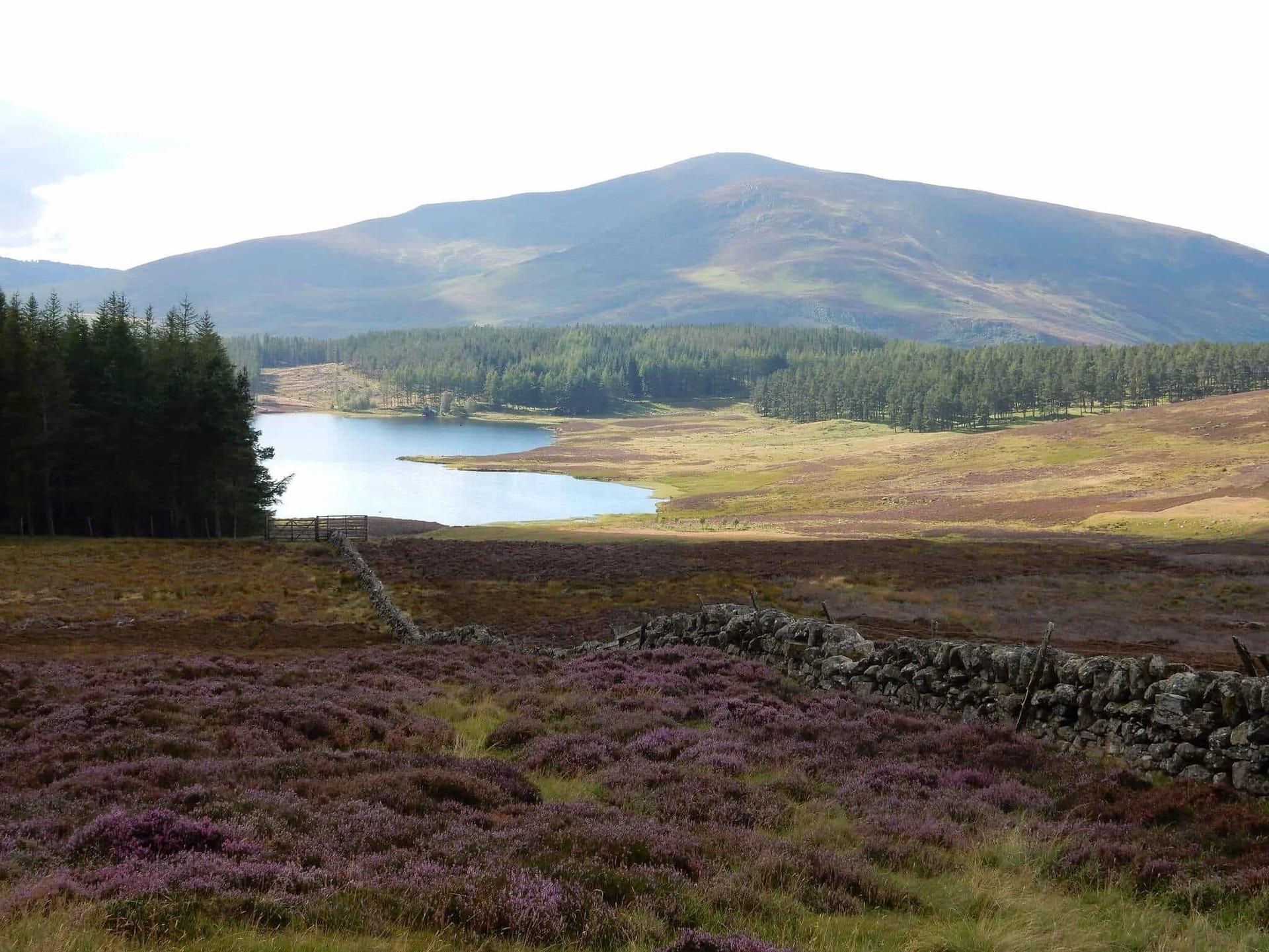 Kirkton of Glenisla, Cateran Trail