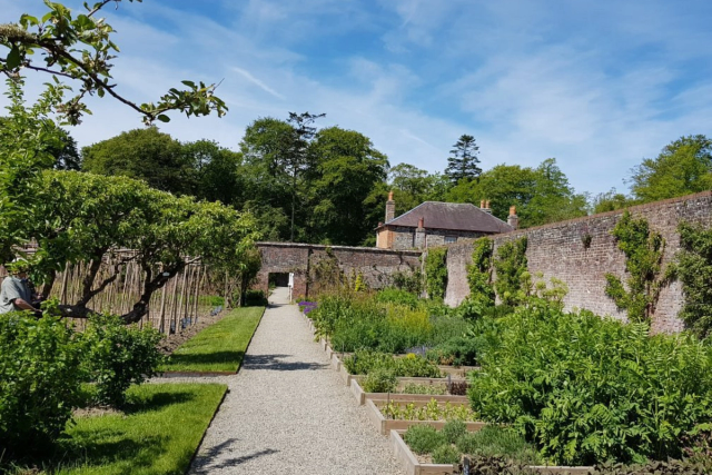 Llanerchaeron walled gardens, near Aberaeron Ceredigion