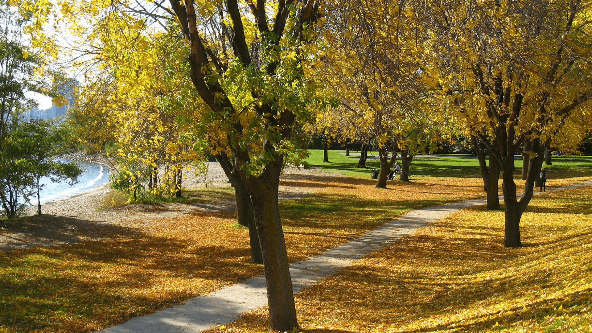 Walk into your everyday commute