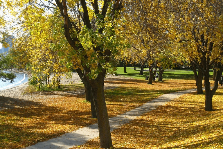 Walk into your everyday commute