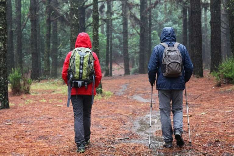 Two walkers on a self guided walking h in a rainy woodland