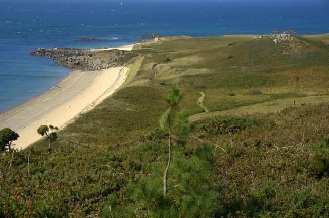 Walks on channel isles, Guernsey