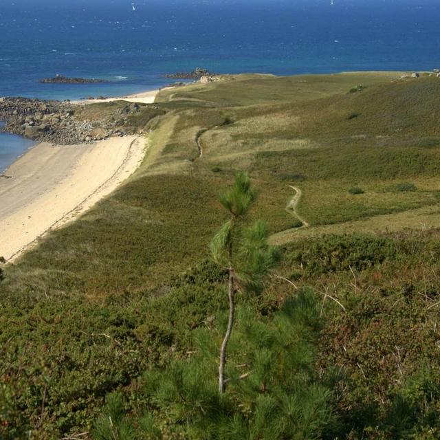 Walks on channel isles, Guernsey